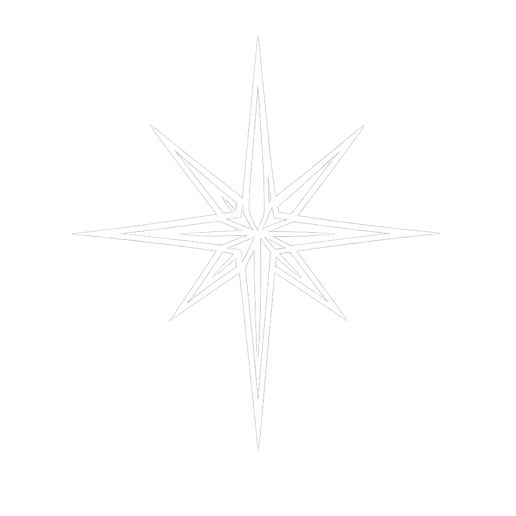 A white Moravian star design.