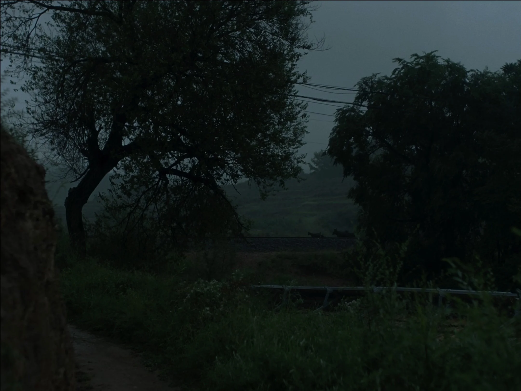 Hollowed_Stills_3.jpg