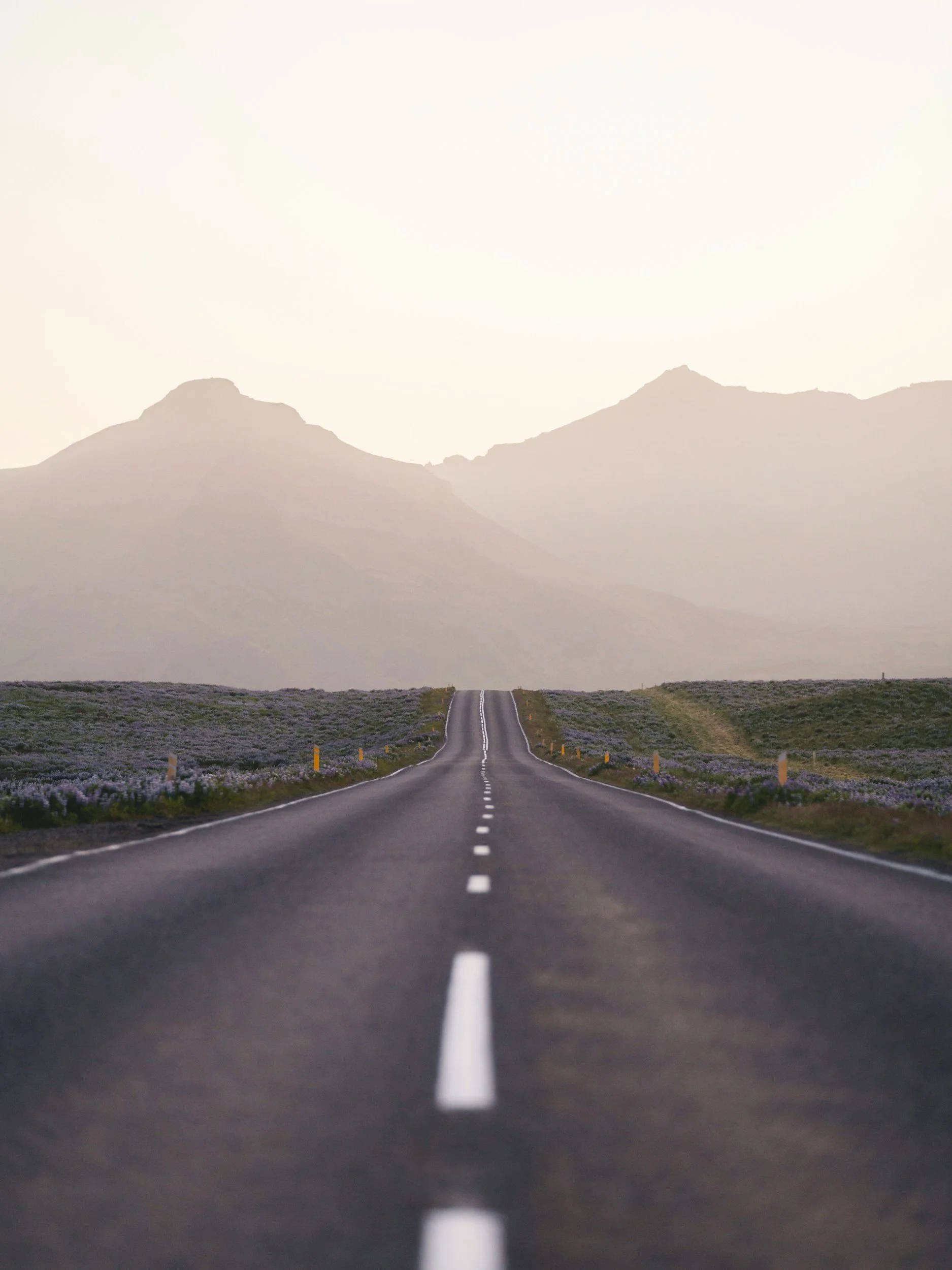 Empty straight road extending towards distant mountains with lavender fields on both sides.
