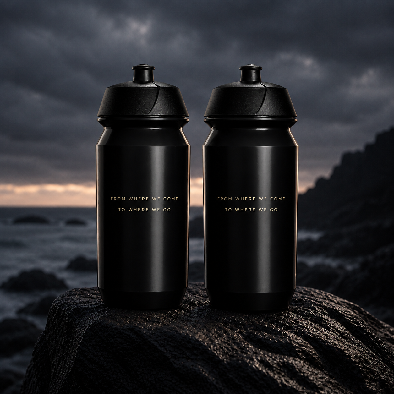 2 BIDONS DARRERE ROCA.png