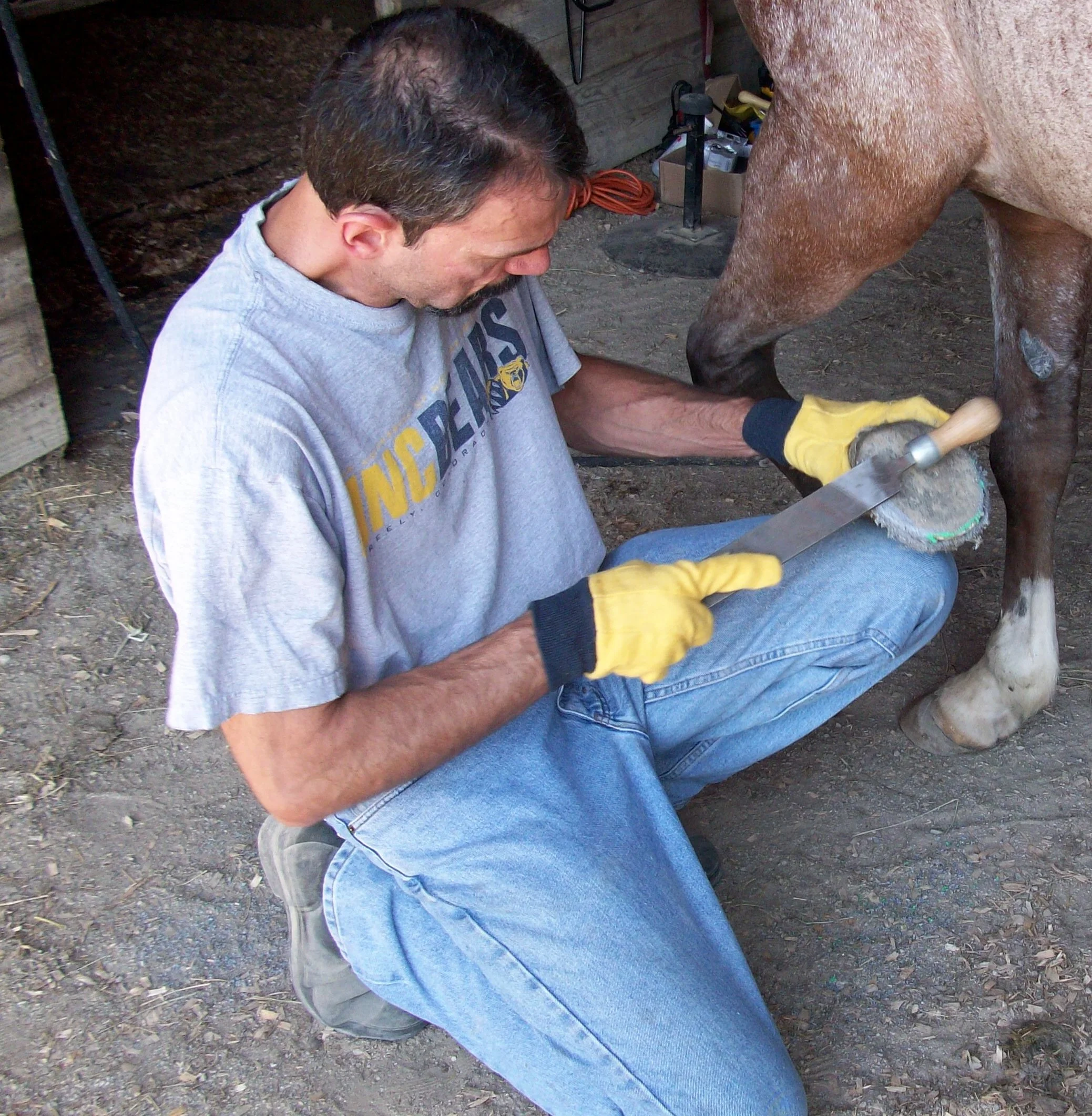 A person wearing a grey T-shirt and jeans, sitting on the ground, holding a hoof knife while working on a horse's hoof. The horse, which has a light brown coat, is standing on a dirt surface inside a stable.