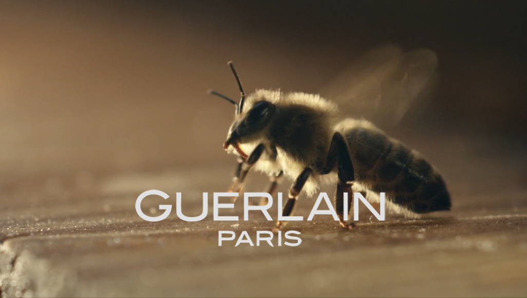 Close-up of a honey bee on a wooden surface with the text 'GUERLAIN PARIS' overlayed.