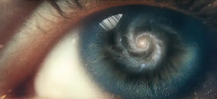 The Best Documentaries Don't Capture Reality, They Reveal It.