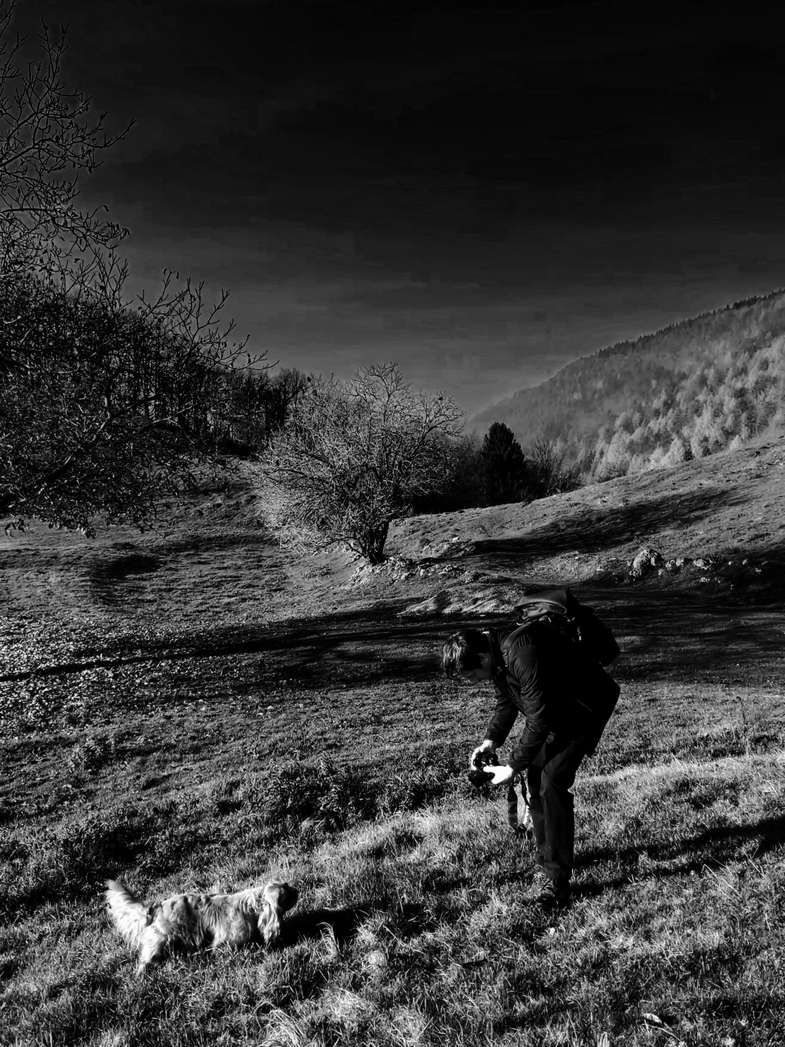 Persona che cammina in un prato con due cani, ai piedi di una collina boscosa, all'aperto, atmosfera diurne.