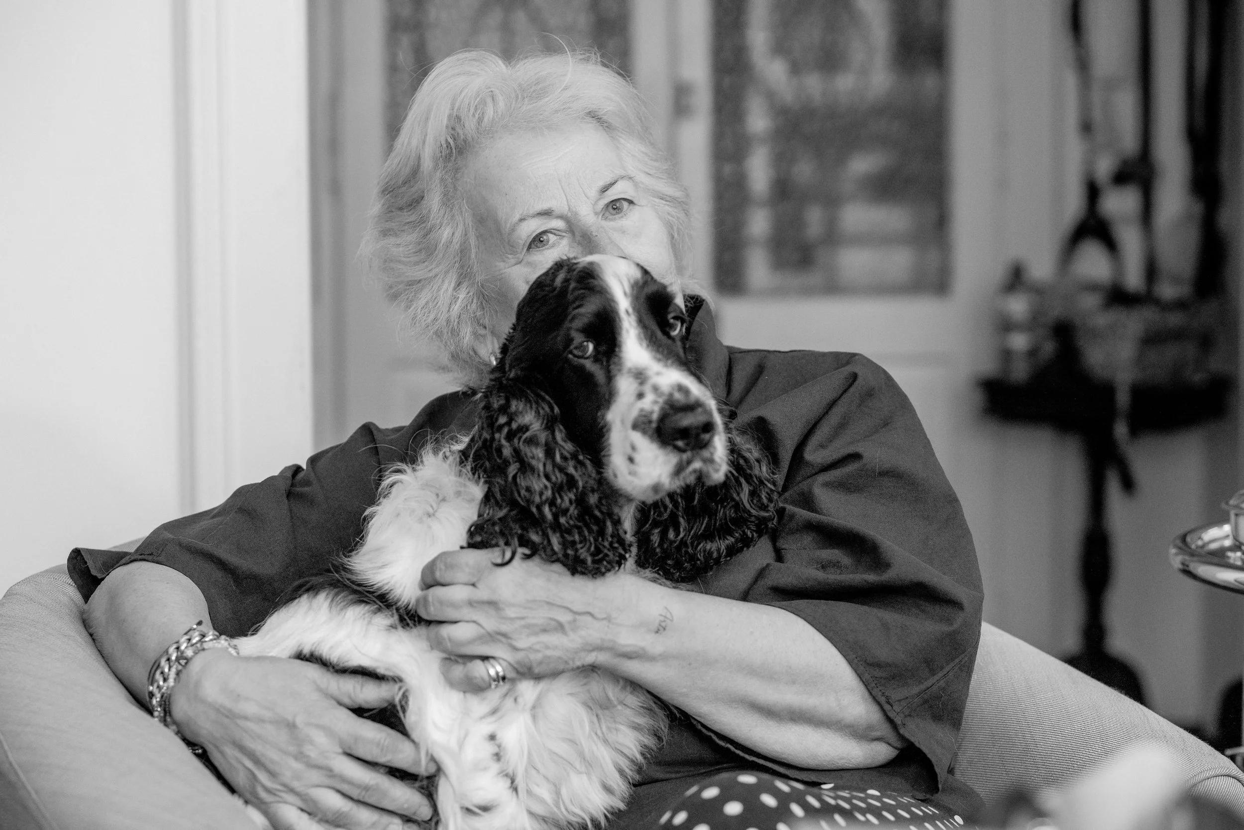 Introspezione domestica