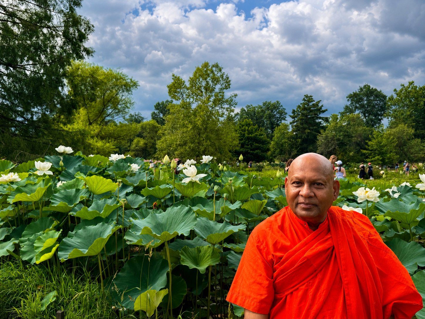 A Quiet Moment Among the Lotuses