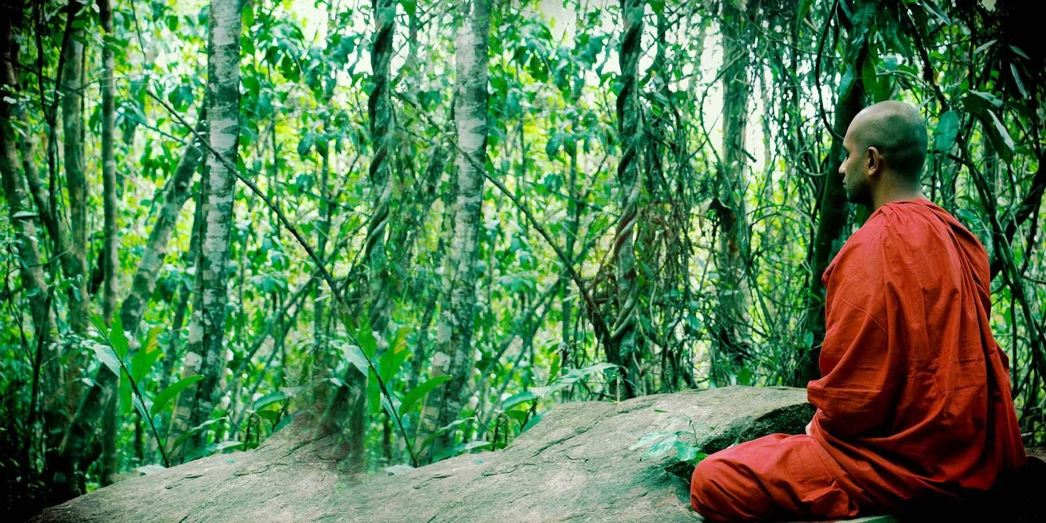 A Buddhist monk dressed in orange robes meditating on a rock in a lush green forest.
