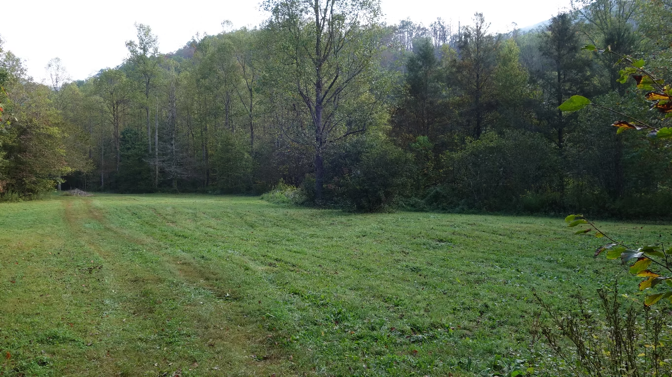 Conservation Partnership Protects 130 Acres at Wharton Conservation Center