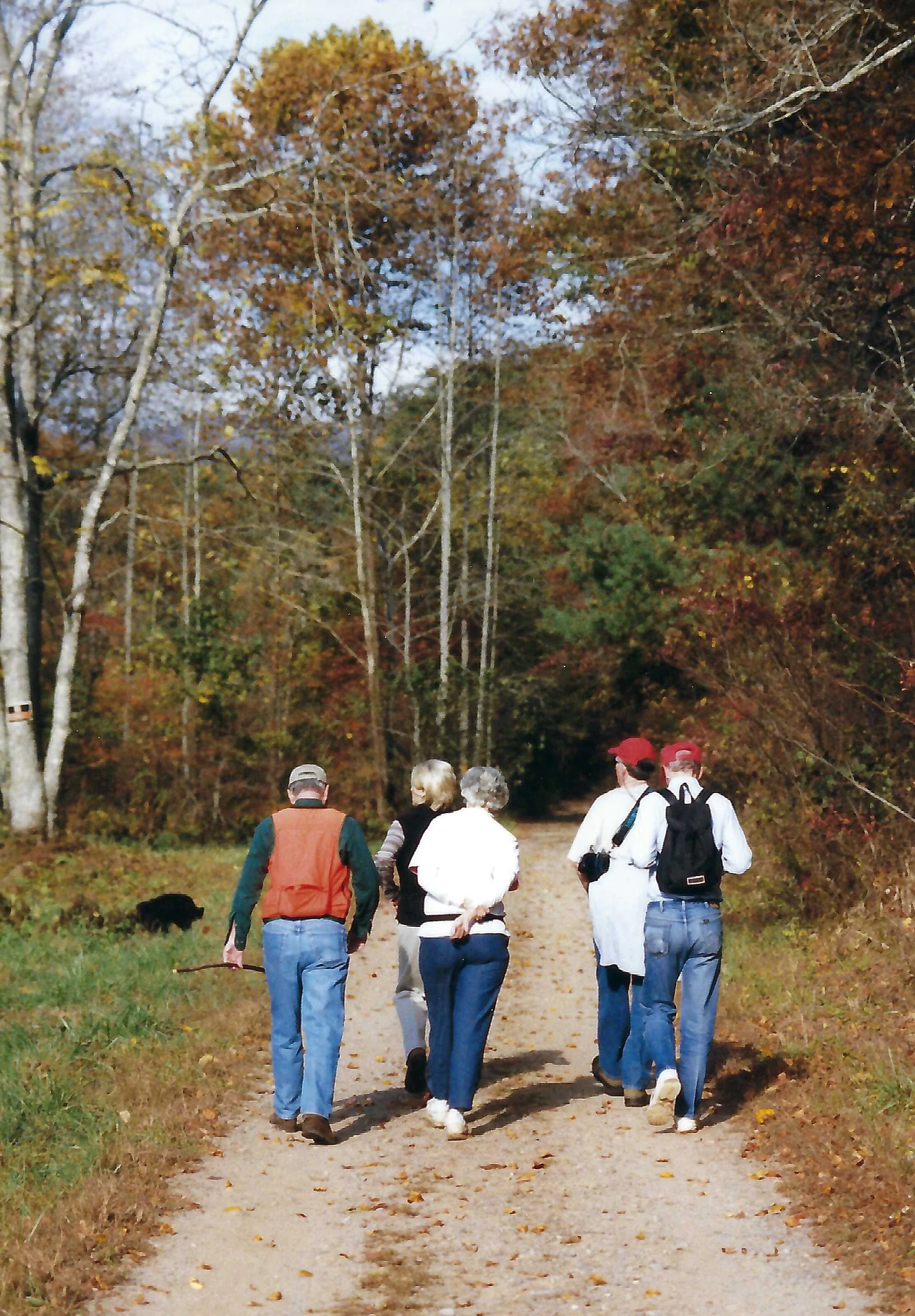 A group of five people walking on a forest trail during autumn, with trees displaying fall colors and a black dog on the left side of the path.