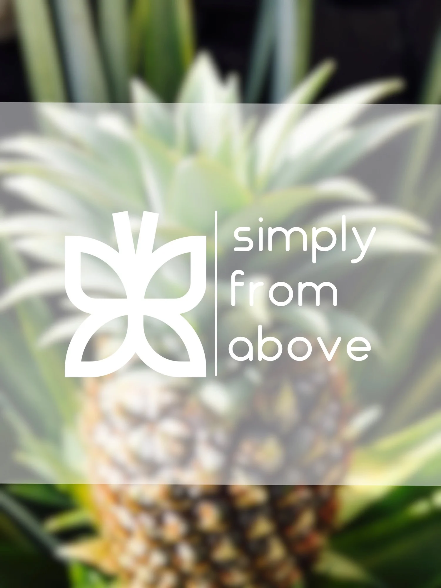 Simply From Above Studios