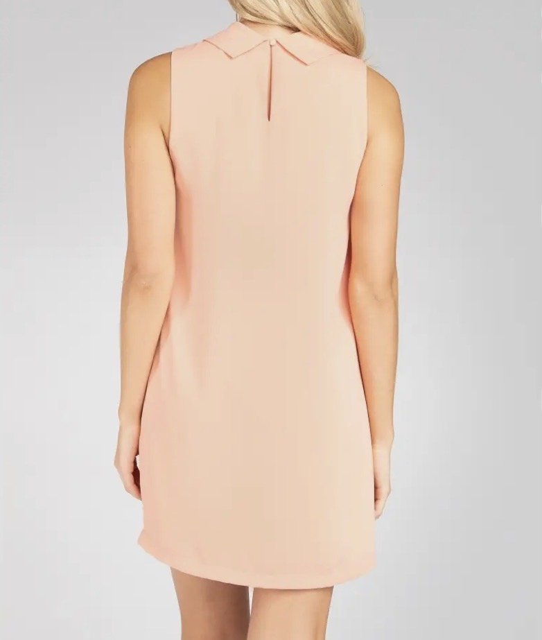 Rollover neck Cantaloupe dress back.jpg