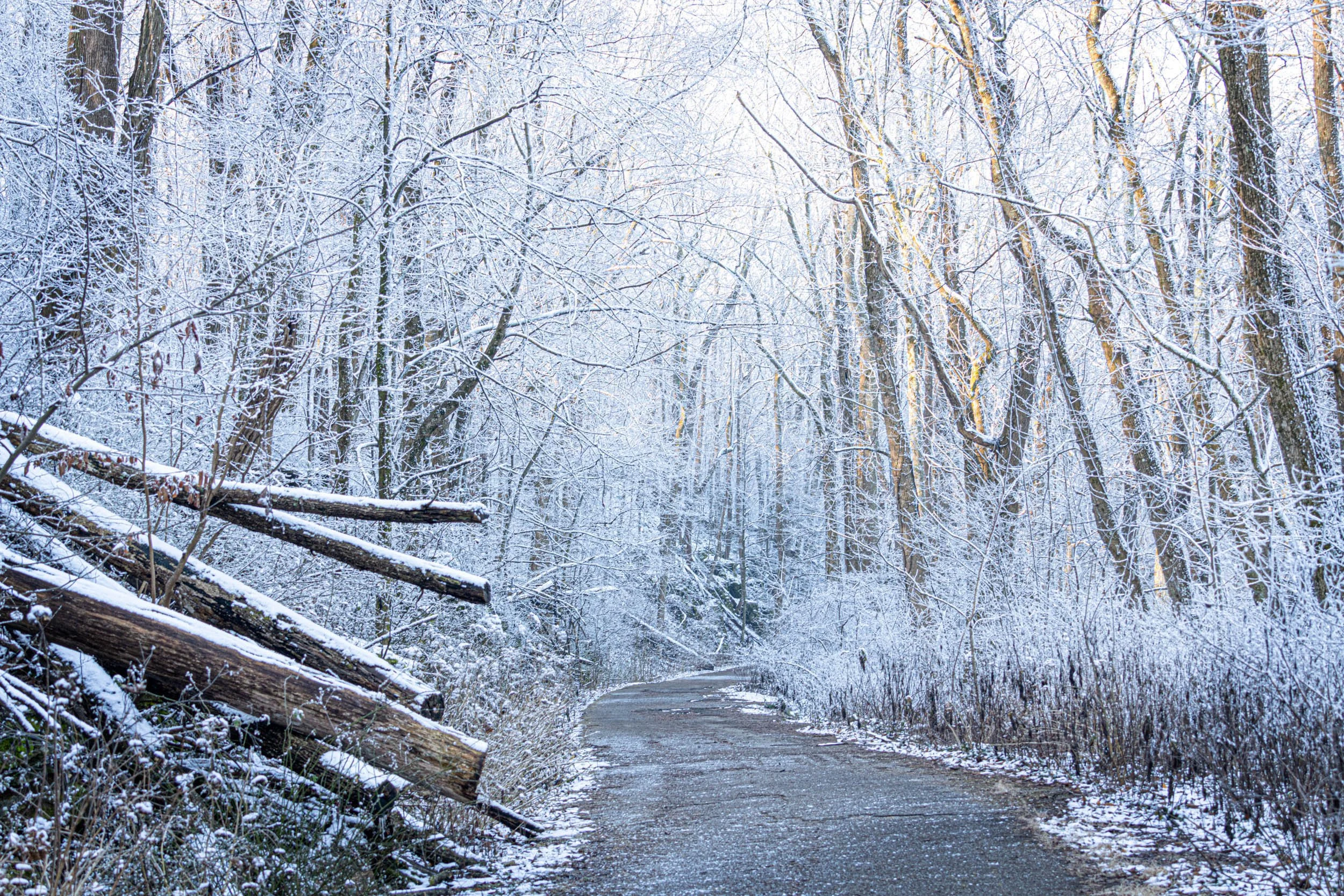 0240-alabama-huntsville-monte-sano-winter-snow.jpg