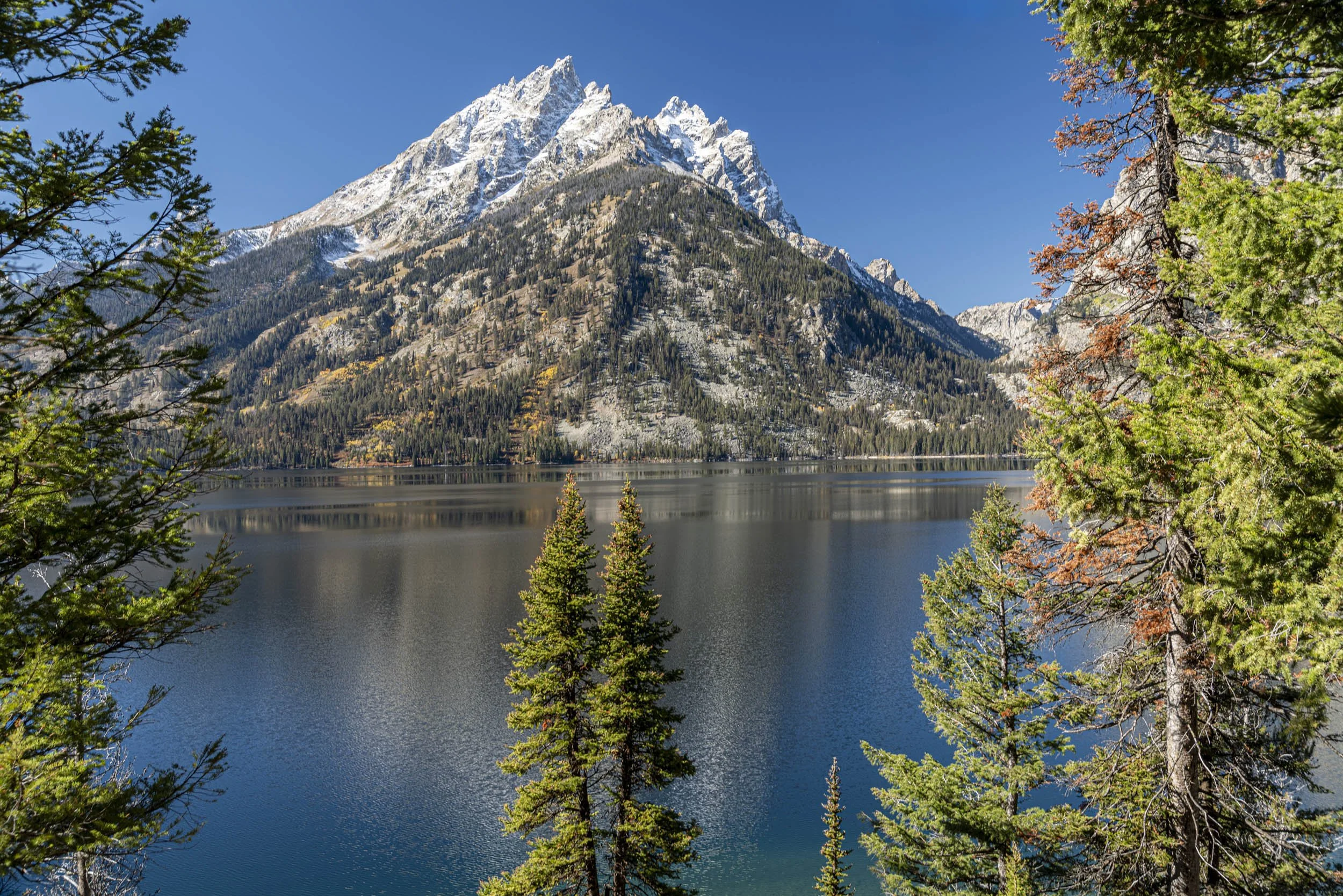 0359 Jenny Lake and the Mountain
