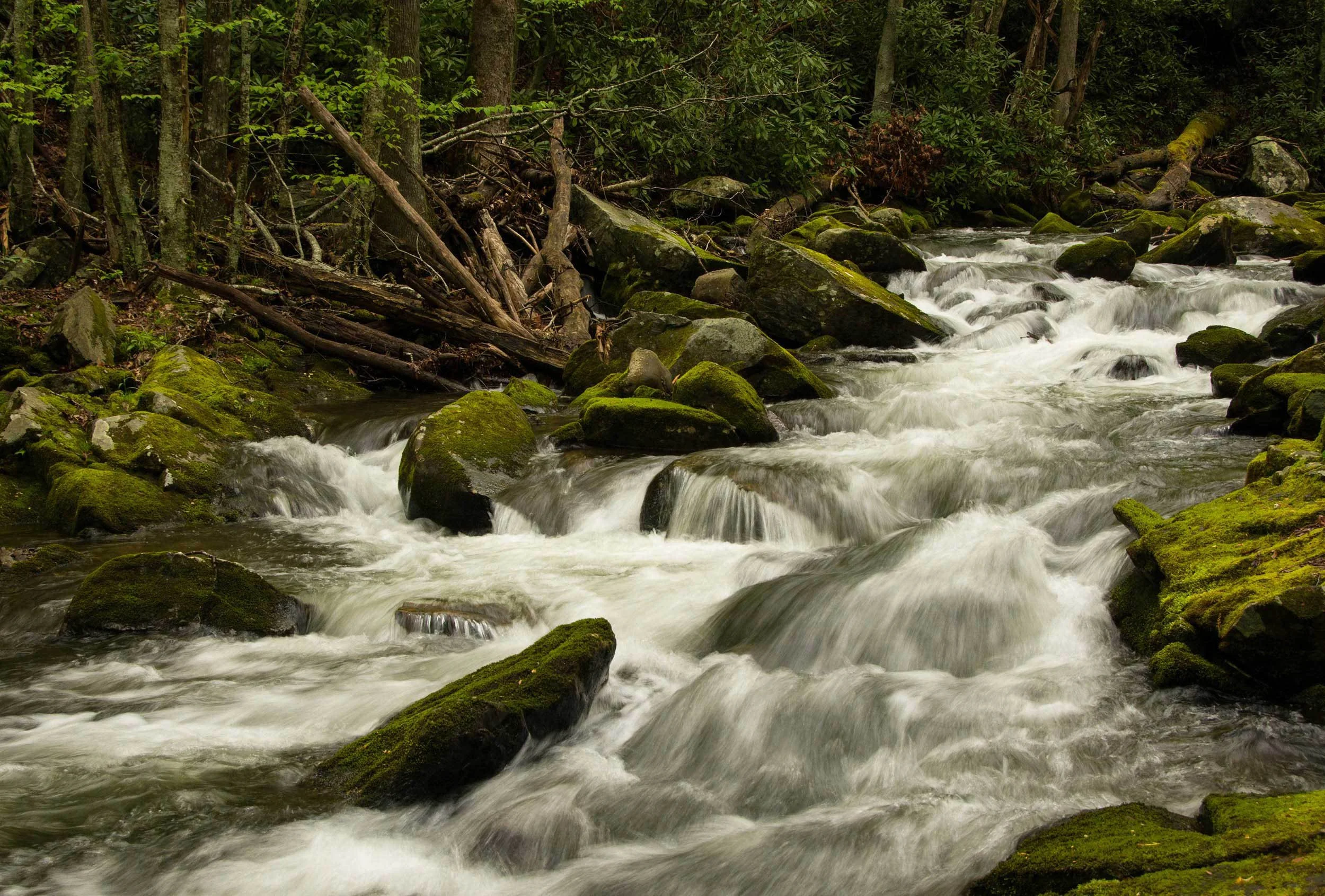 0091-smoky-mountaains-stream-whitewater.jpg
