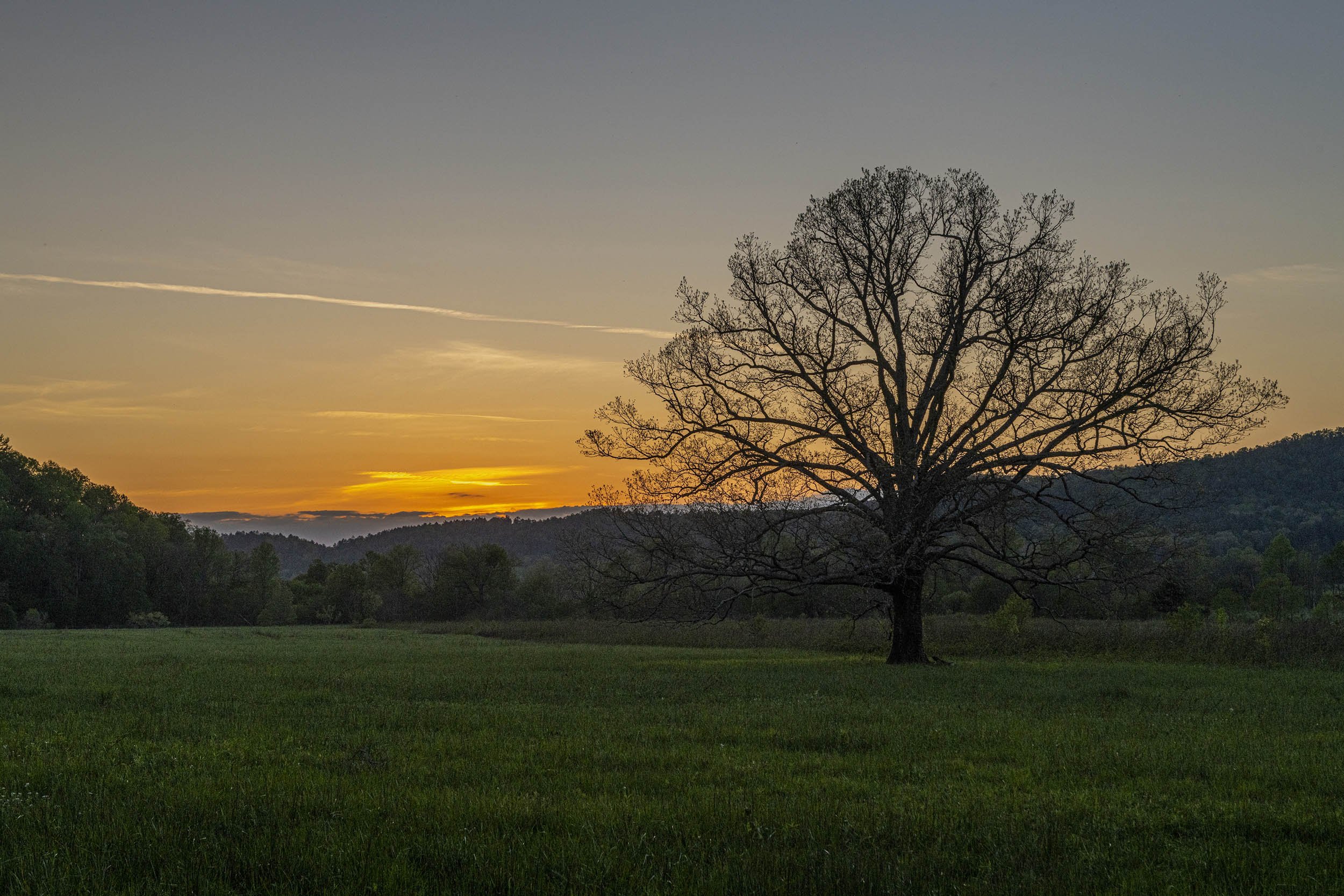 0344-smoky-mountains-cades-cove-lone-tree-sunset.jpg