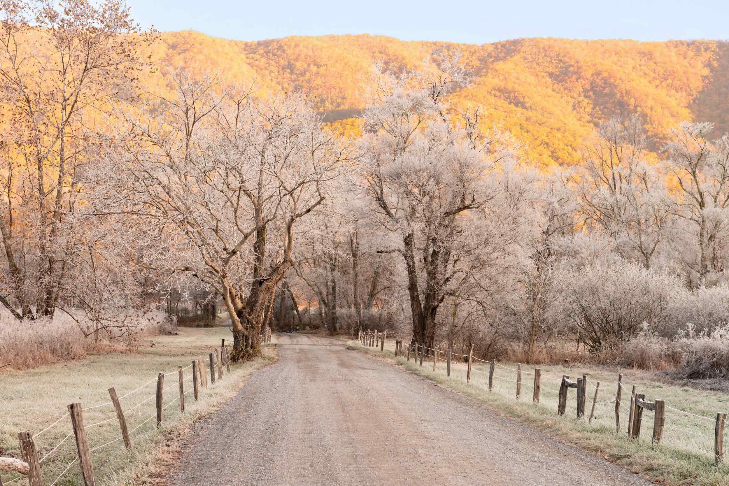 0157-smoky-mountains-fall-colors-frost.jpg