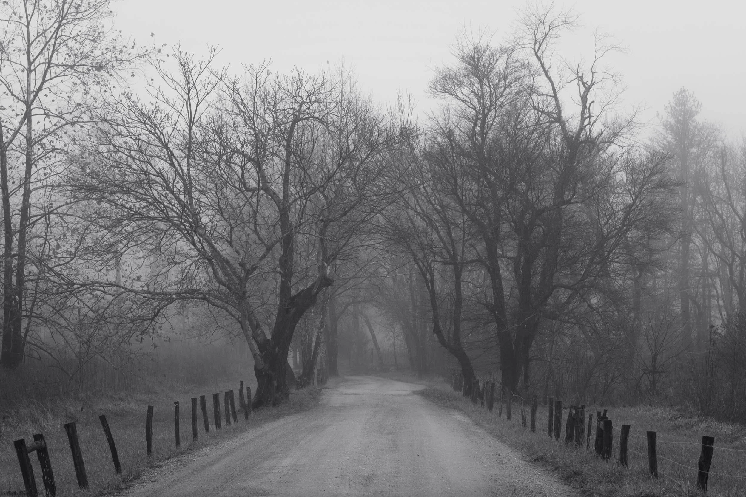 0093 A Lonely Road
