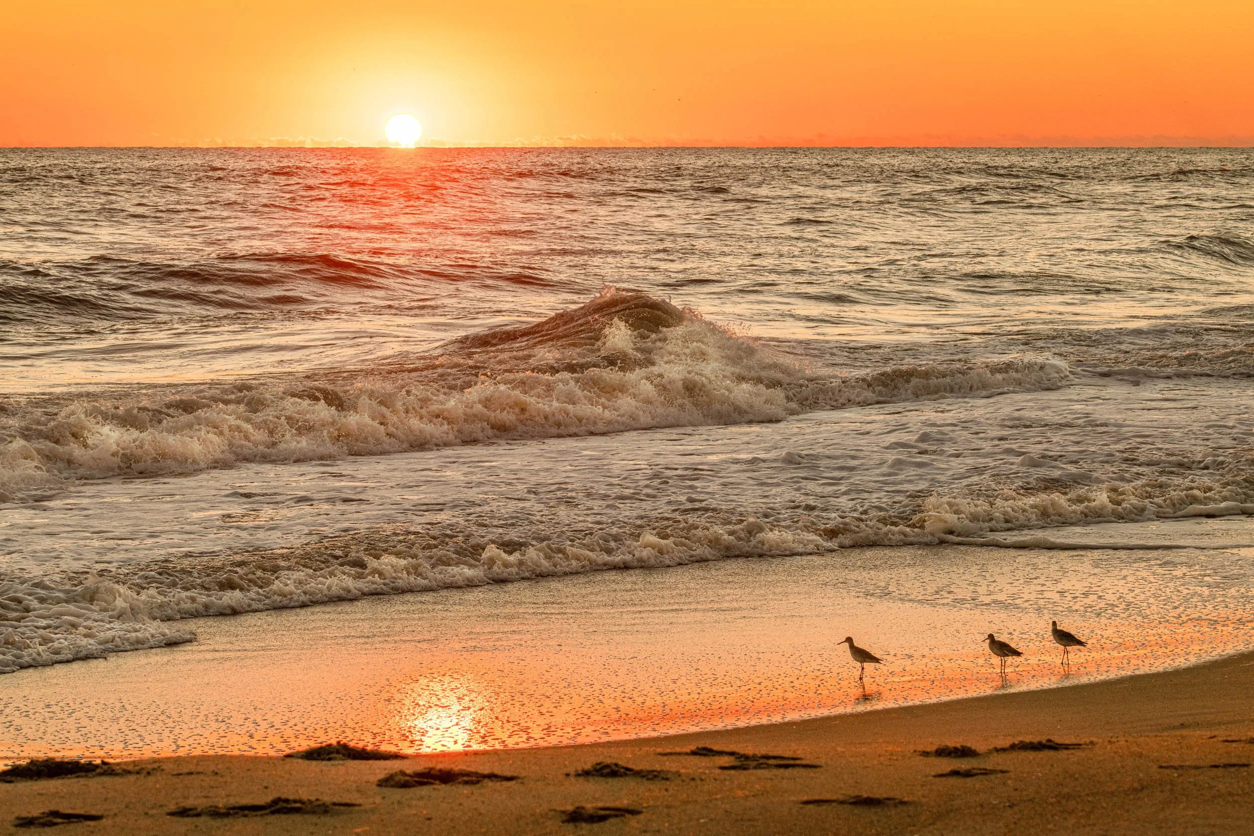 0299 Outer Banks Sunrise