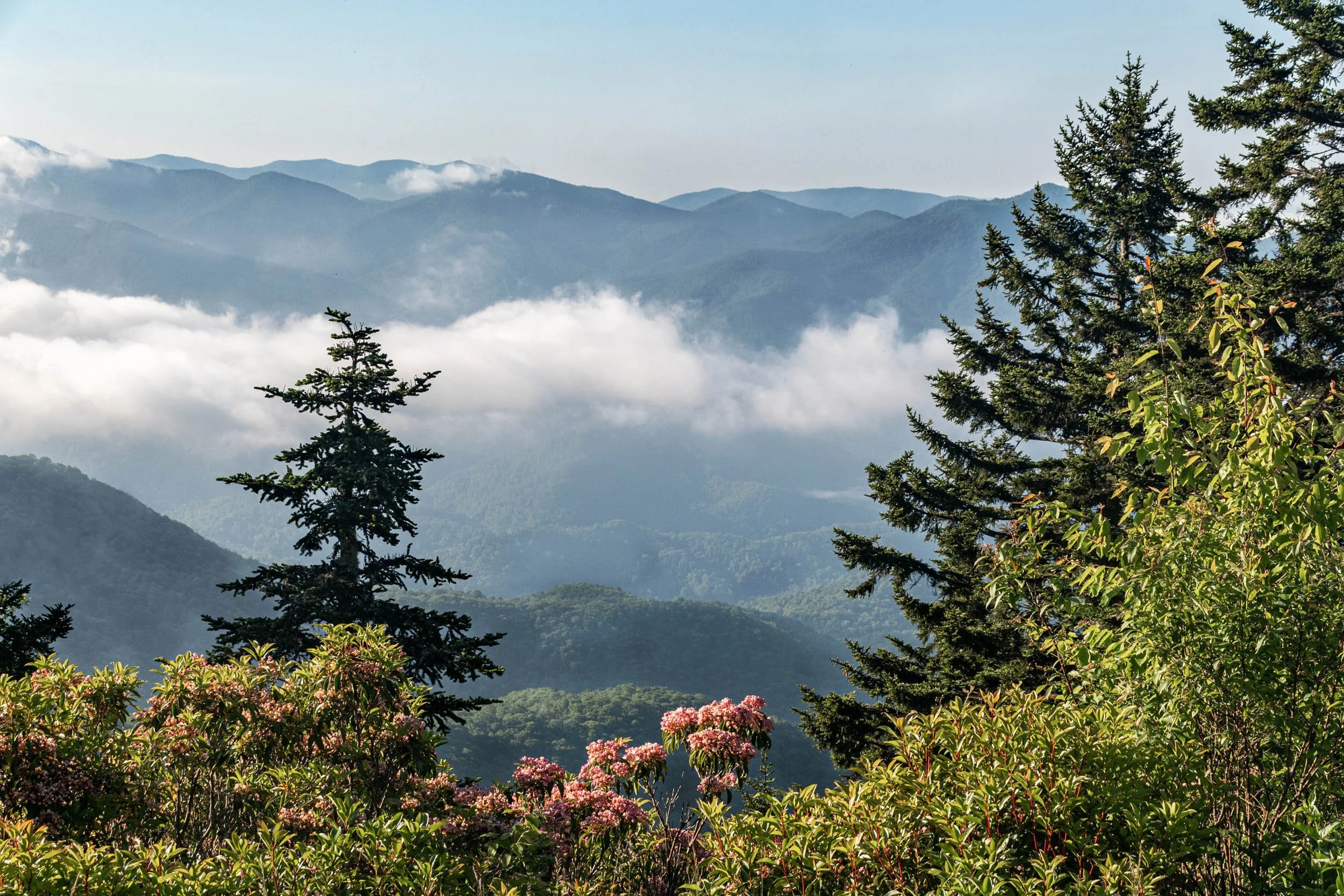 The Blue Ridge in June