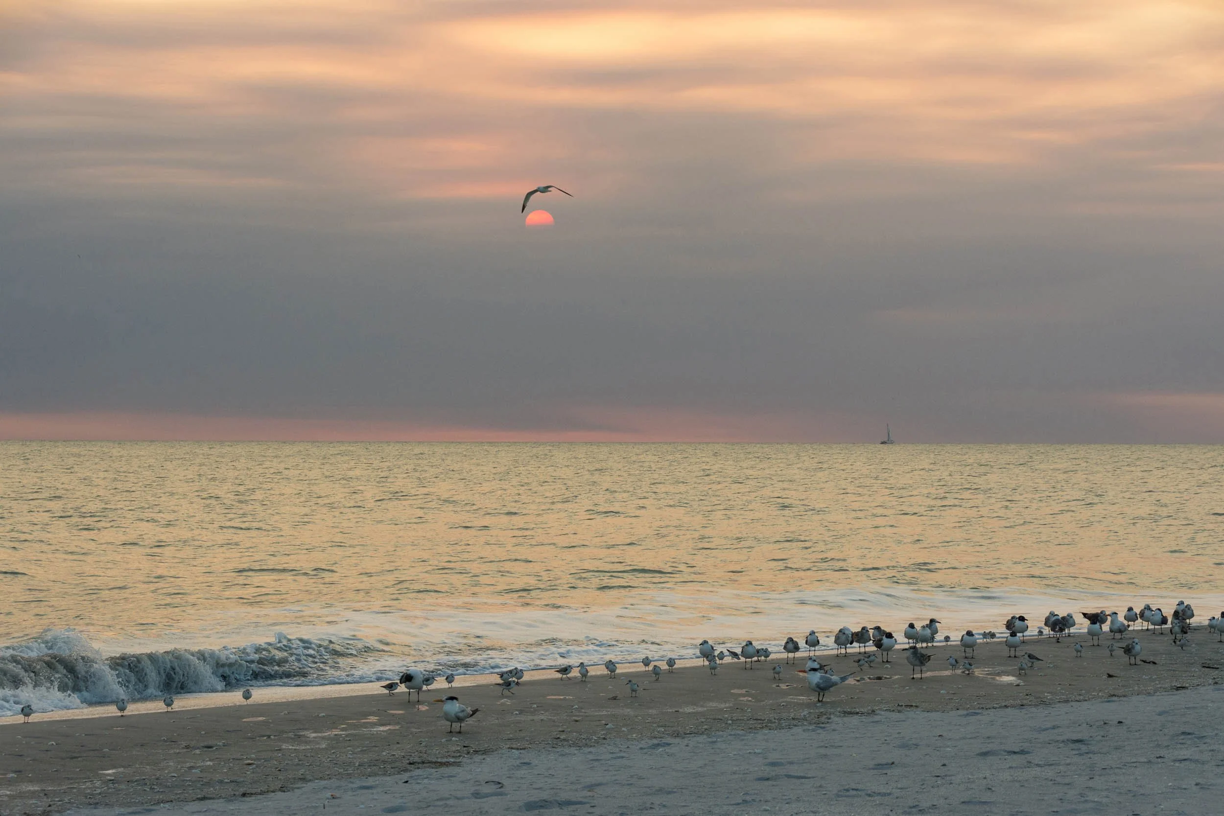 0051 Sanibel Sunset