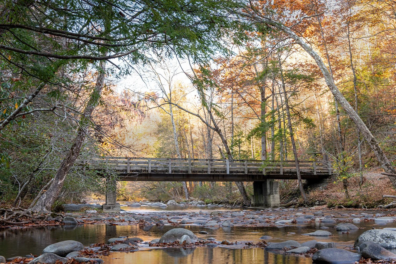 Metcalf Bridge