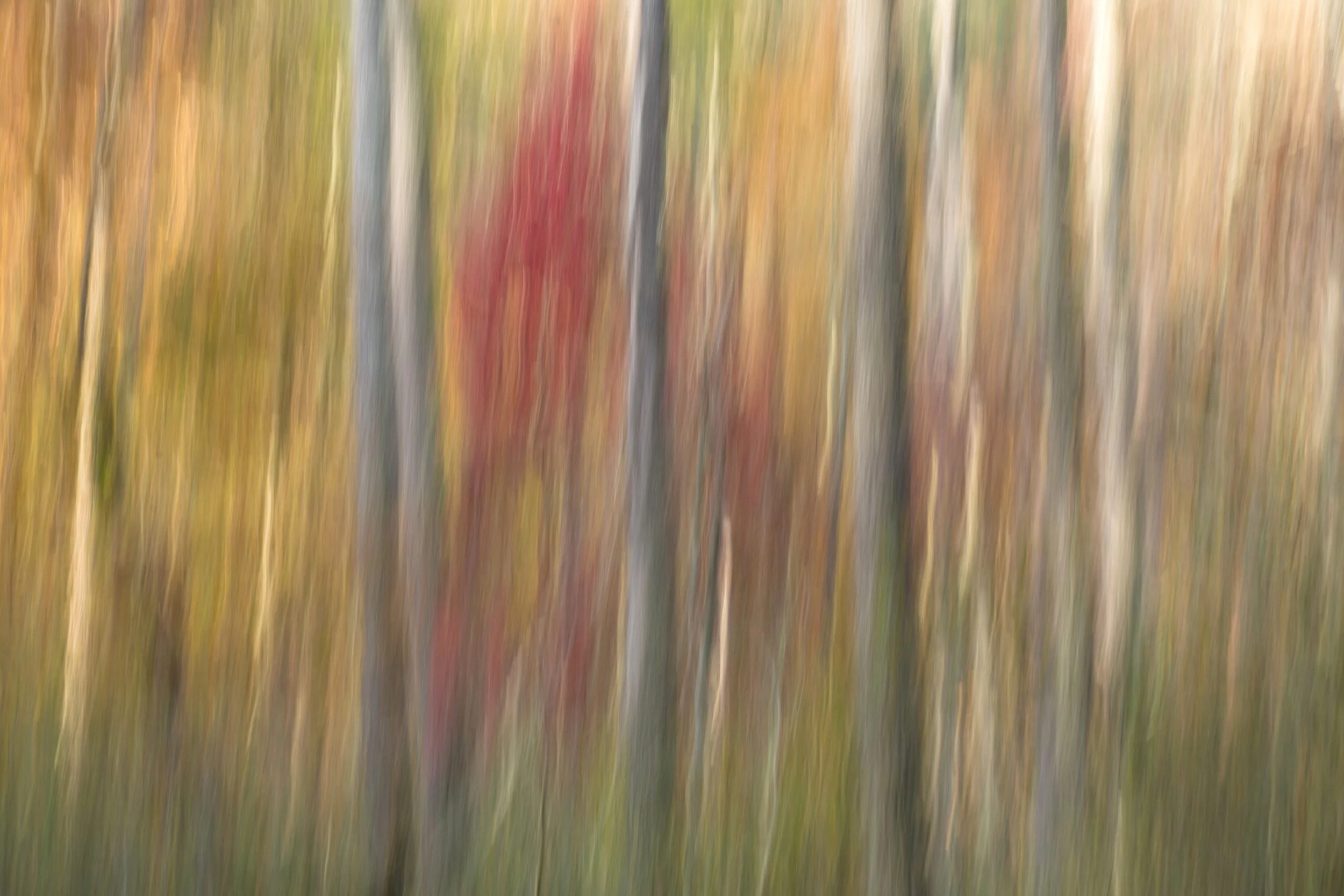 0098-abstract-color-vertical-lines.jpg