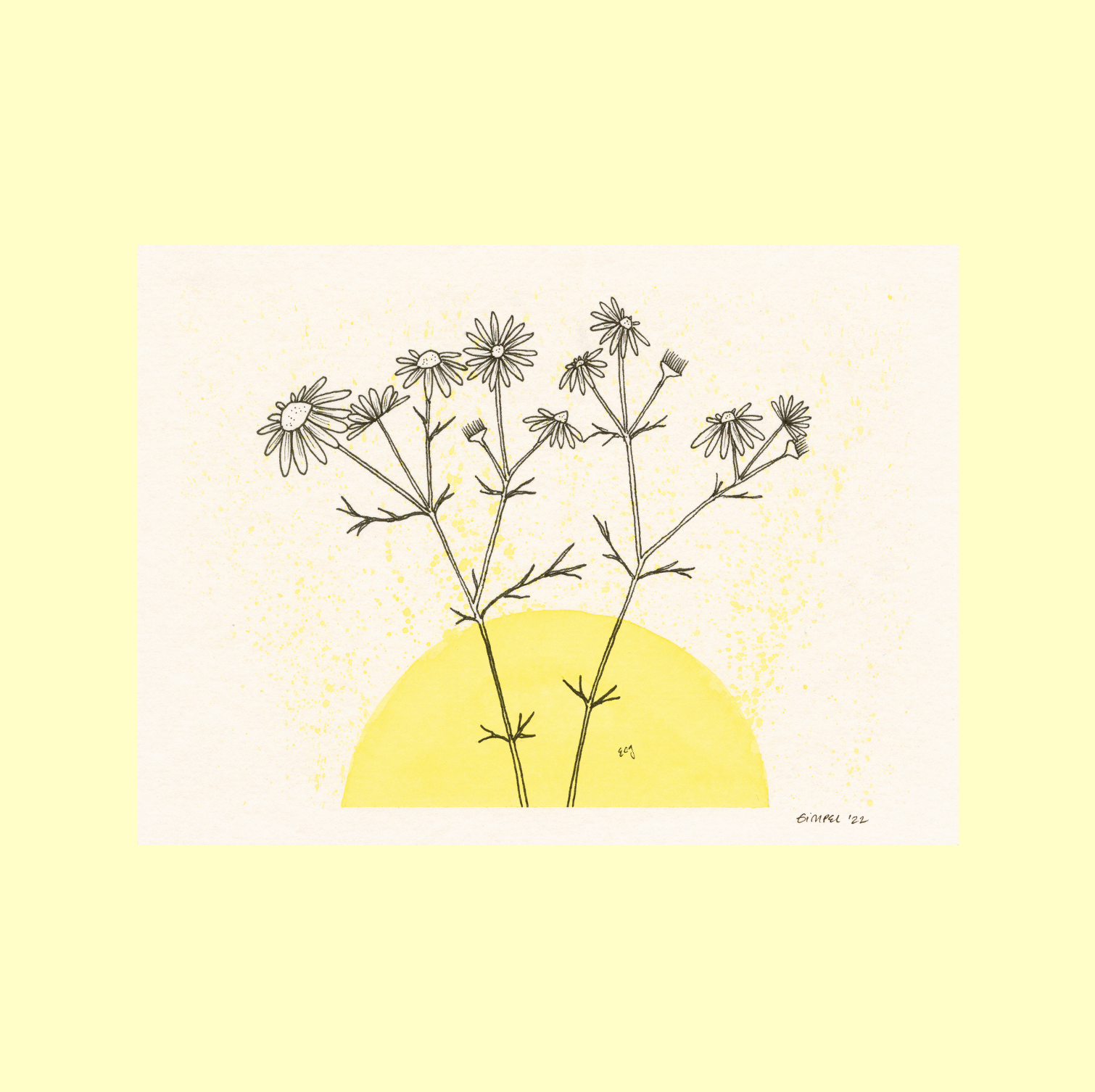 7x9" Archival Matte Chamomile Print