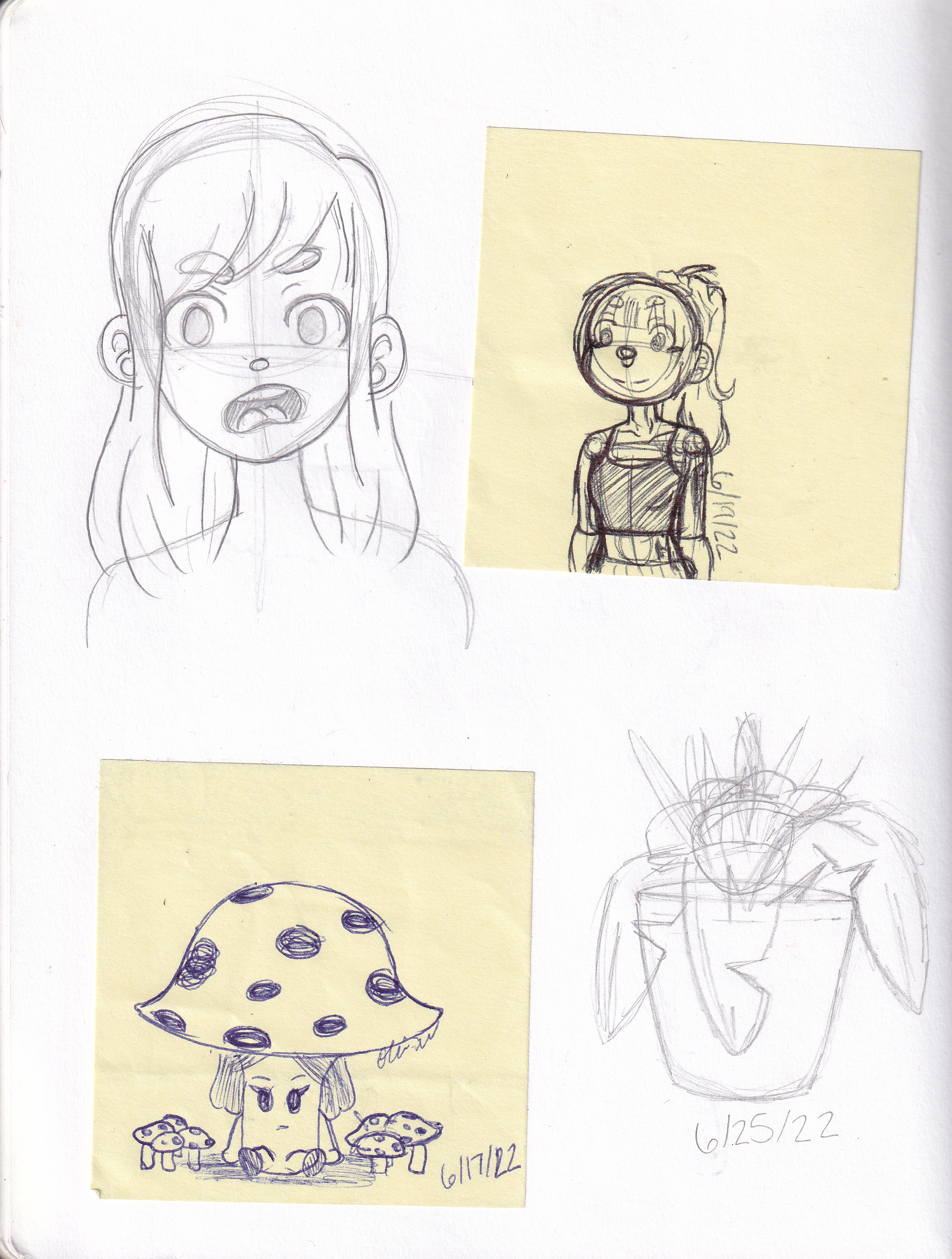 SK1-PG_20260714_0029.png
