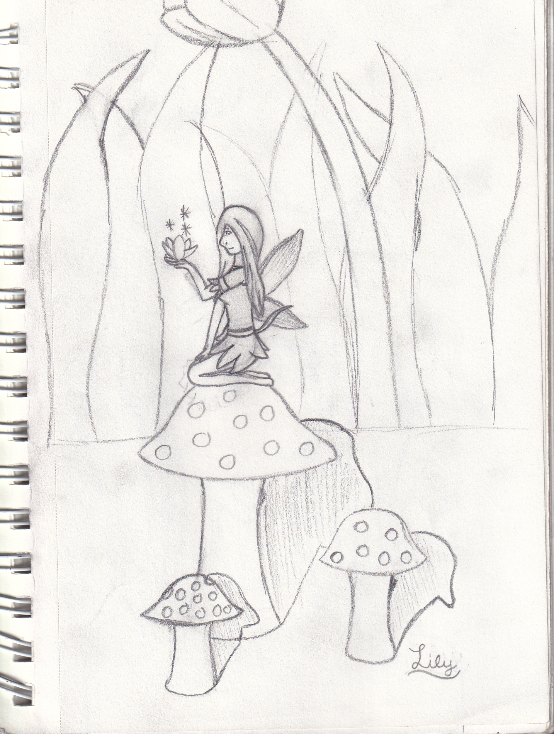 SK1-PG_20260711_0022.png