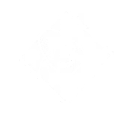 BORN CREATIVE STUDIO