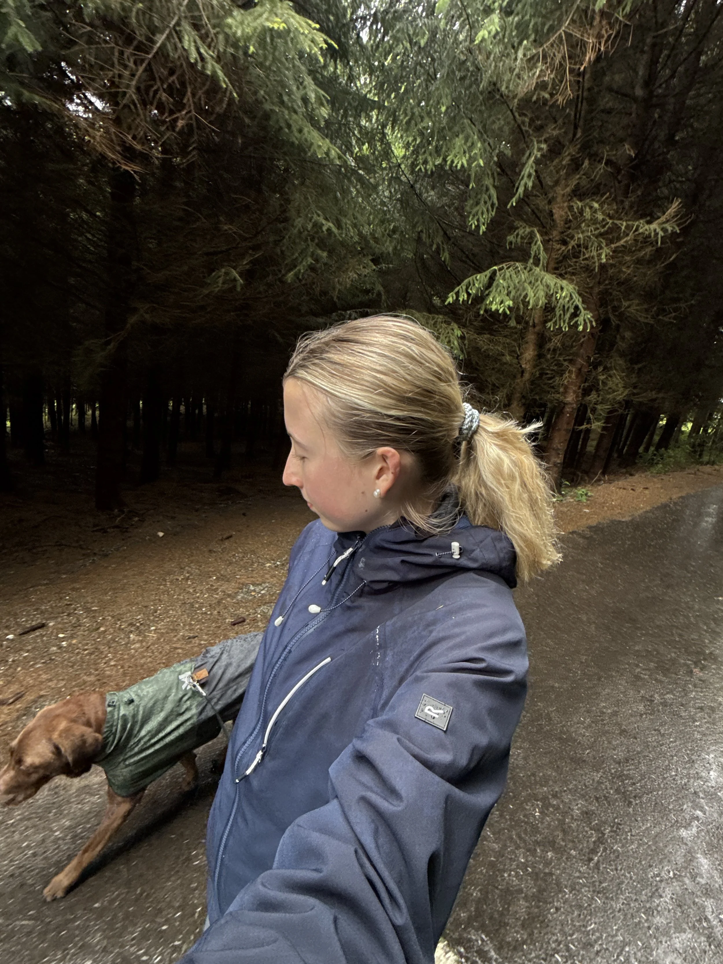 Junge Frau mit Blondhaare, die mit einen braunen Hund spaziert, umgeben von hohen Tannenbäumen.