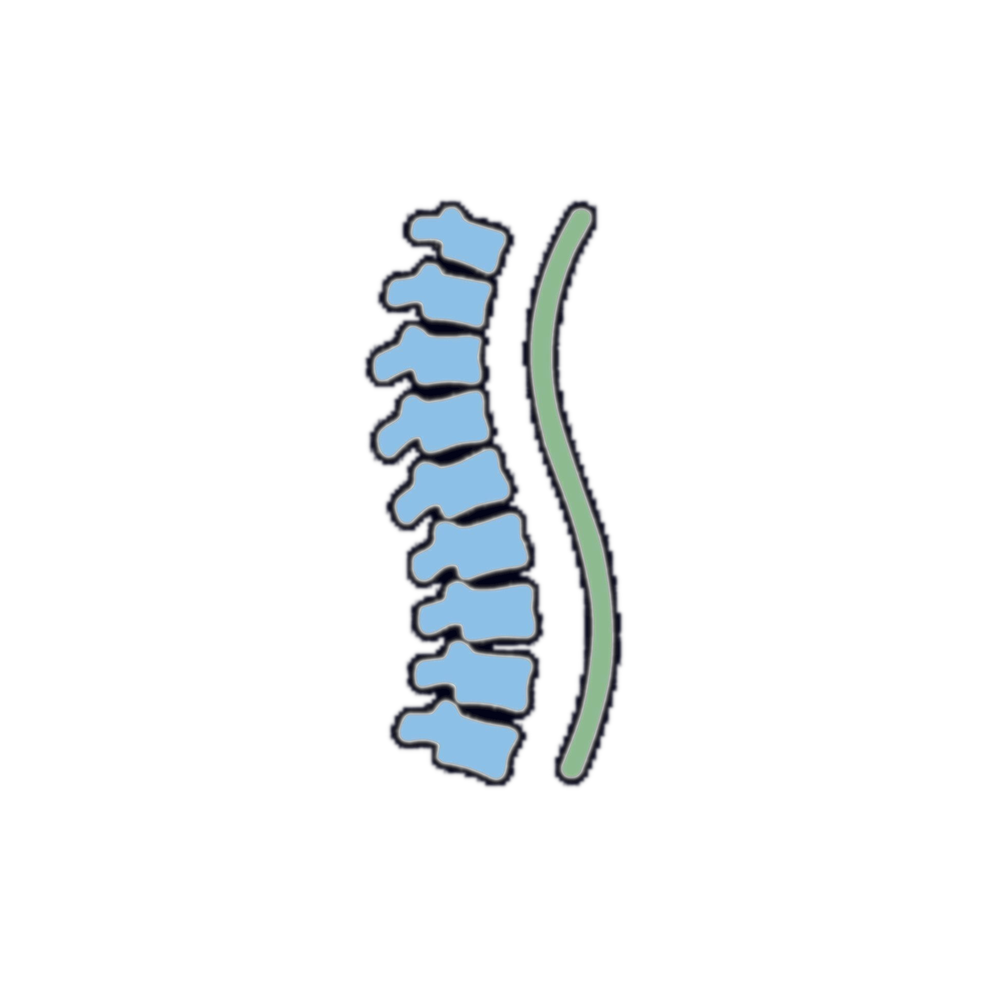 A stylized illustration of a spine with vertebrae in blue, showing the bones and a green curved line representing a part of the spine or spinal cord.