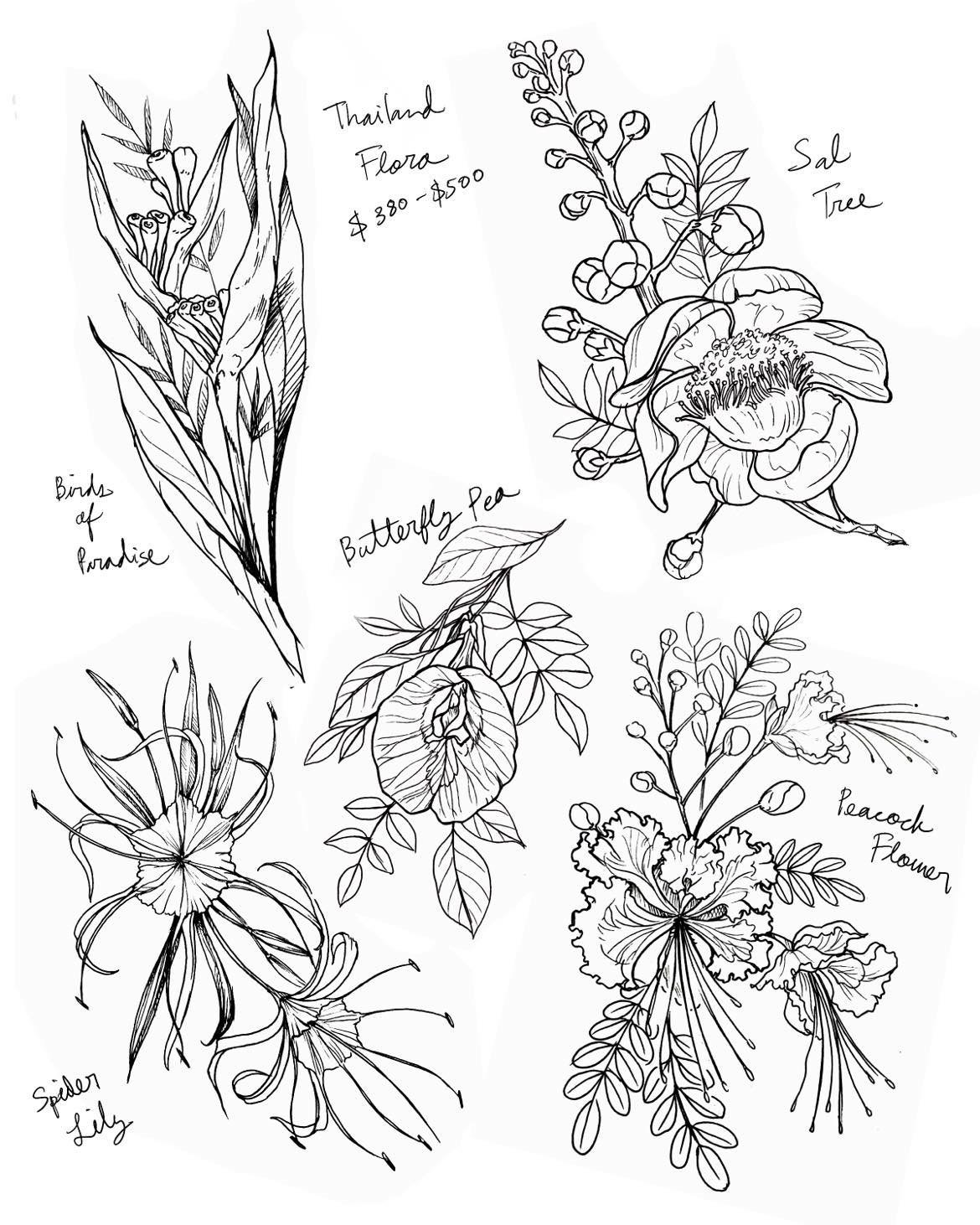 thaiflora.jpg
