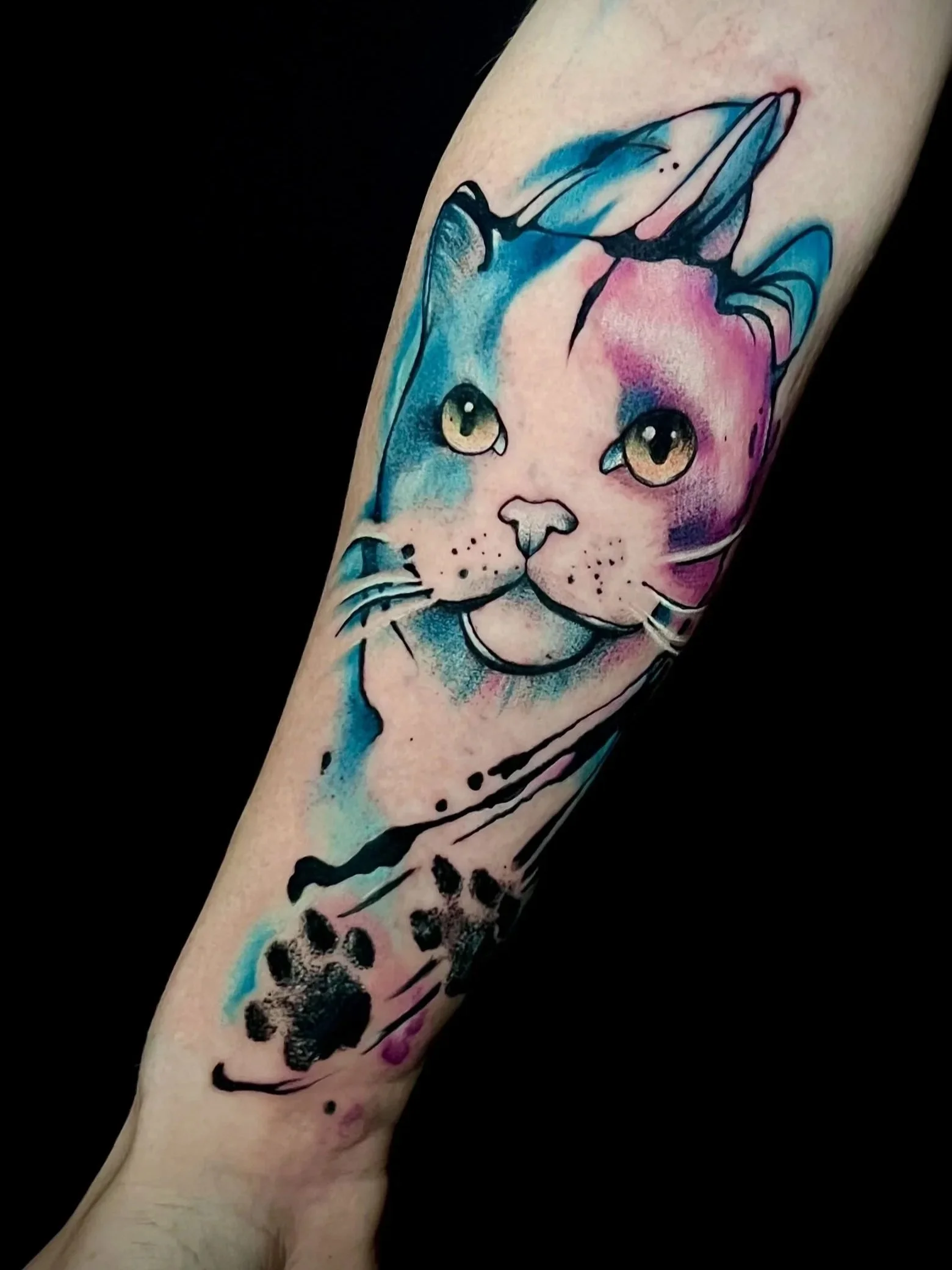 Tattoo eines Cats mit blauen, pinken und schwarzen Details auf dem Unterarm.