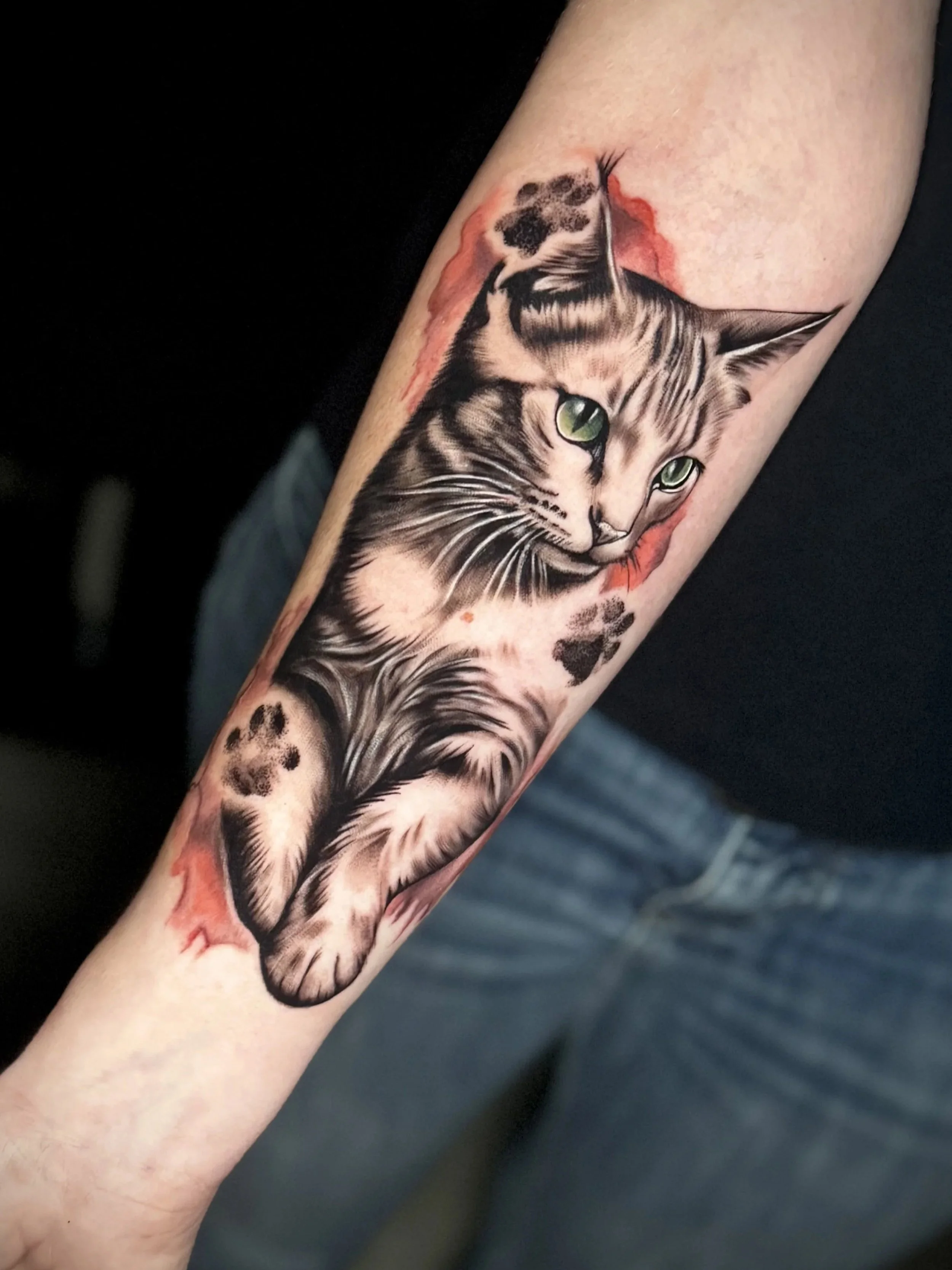 Tattoo eines lebensechten Katzenporträts auf einem Unterarm, mit grünen Augen und Details im Fell, umgeben von Aquarell- und Pinselstrichen in Rot- und Schwarztönen.