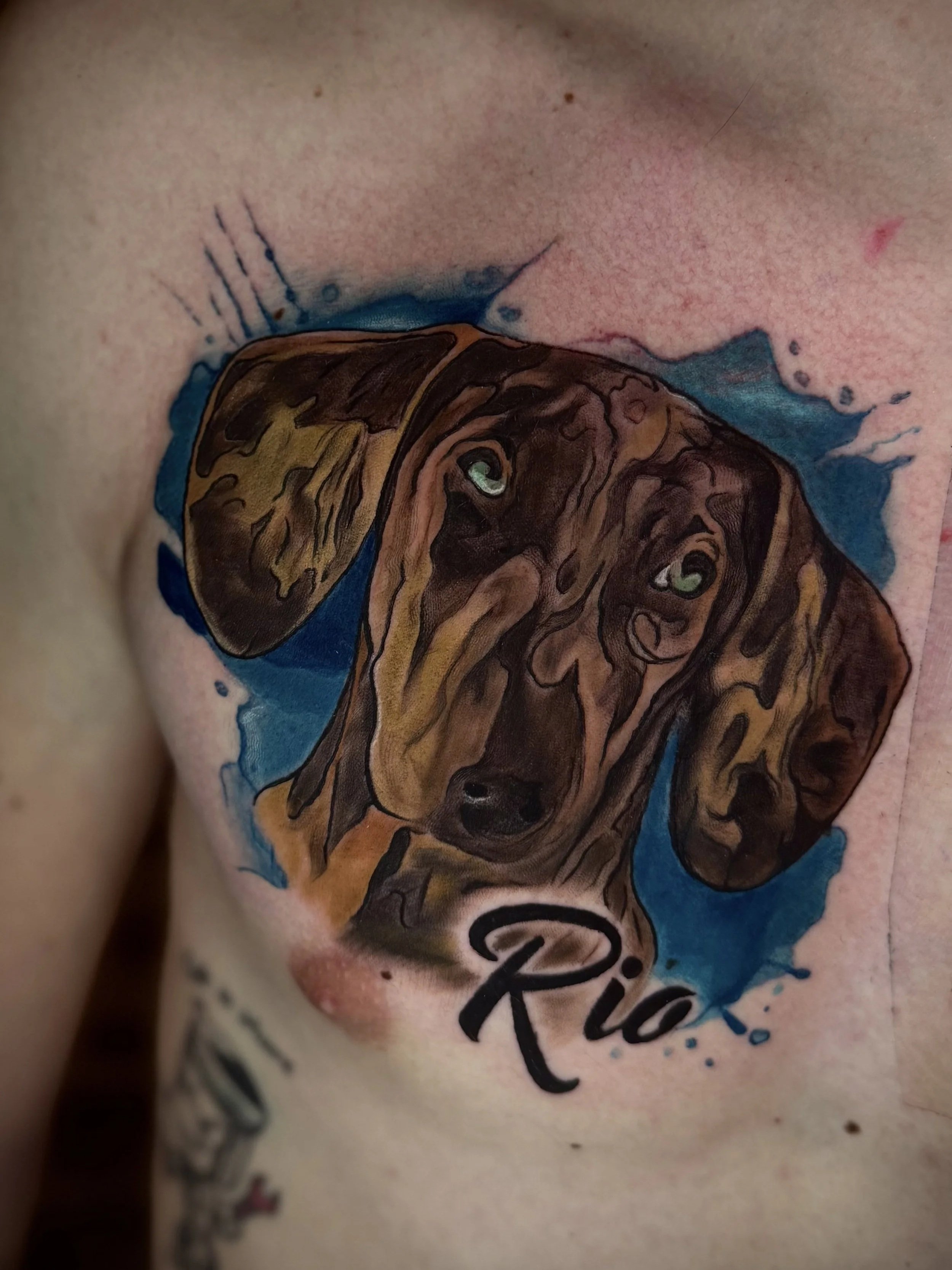 Tattoo eines Hundes mit blauen Akzenten und schwarzem Text auf der Haut.