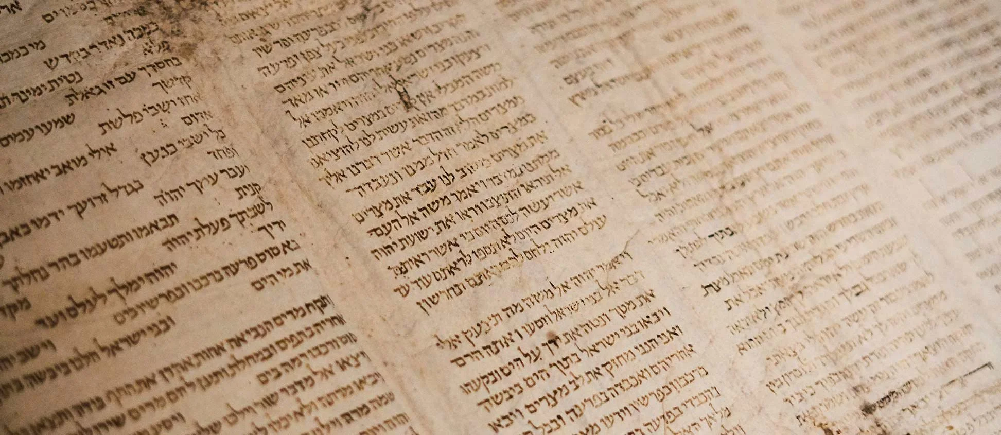 risa-wallach-cantor-torah.jpg
