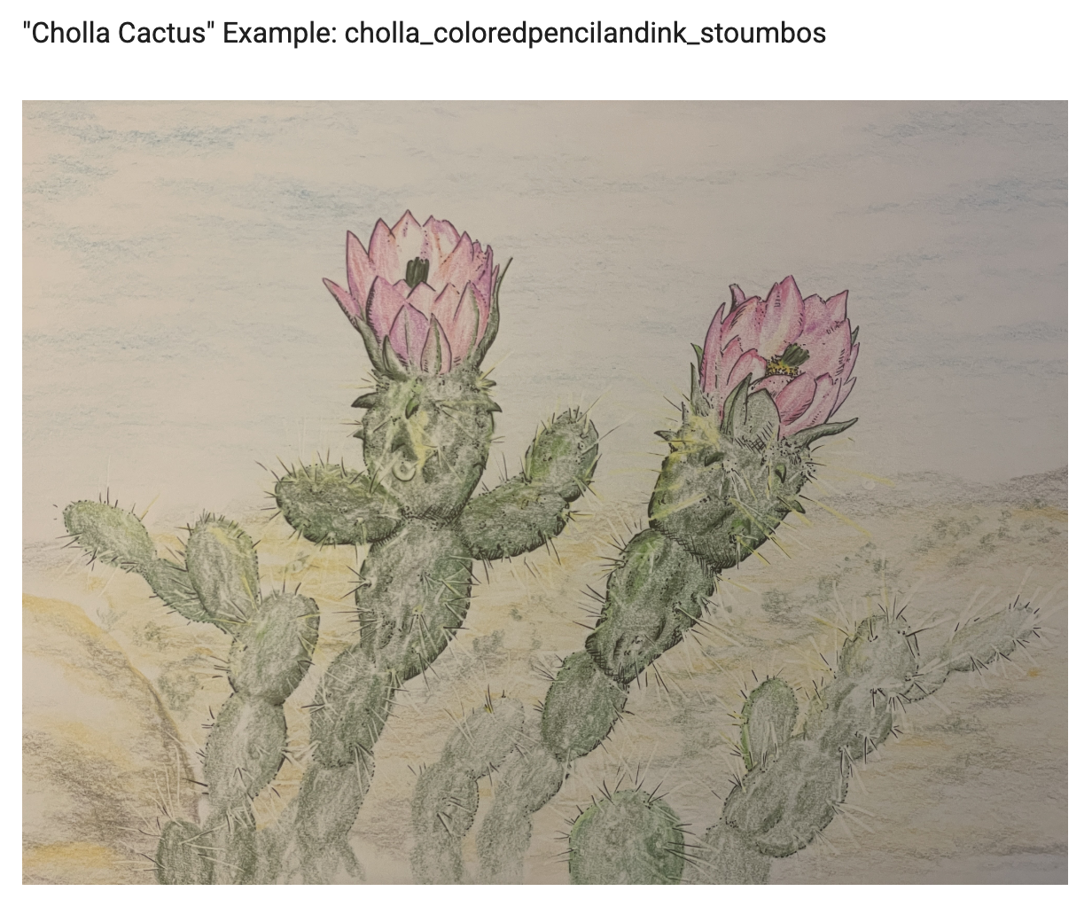 Illustration of a prickly desert cactus with pink flowers blooming at the top.