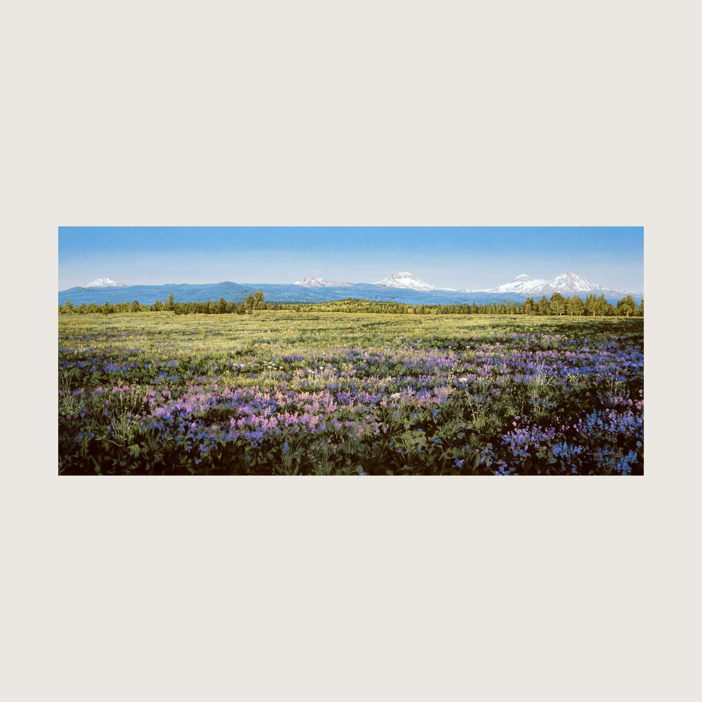 Cascade Springtime