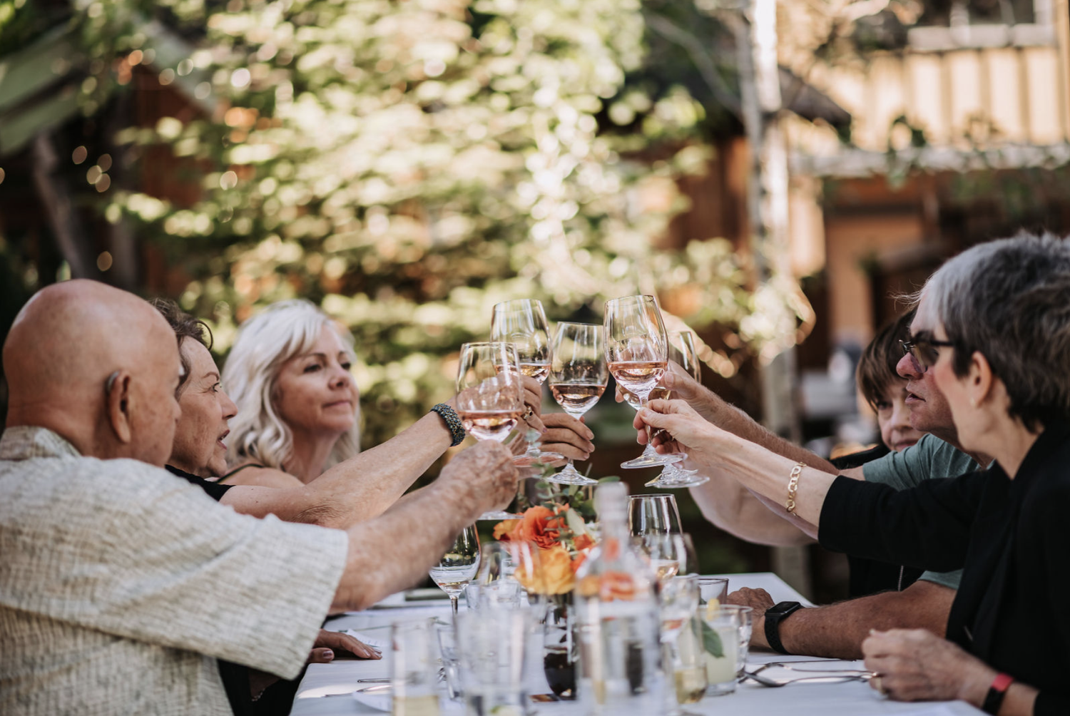 A group of diners is toasting wine glasses in the middle of a table outdoors