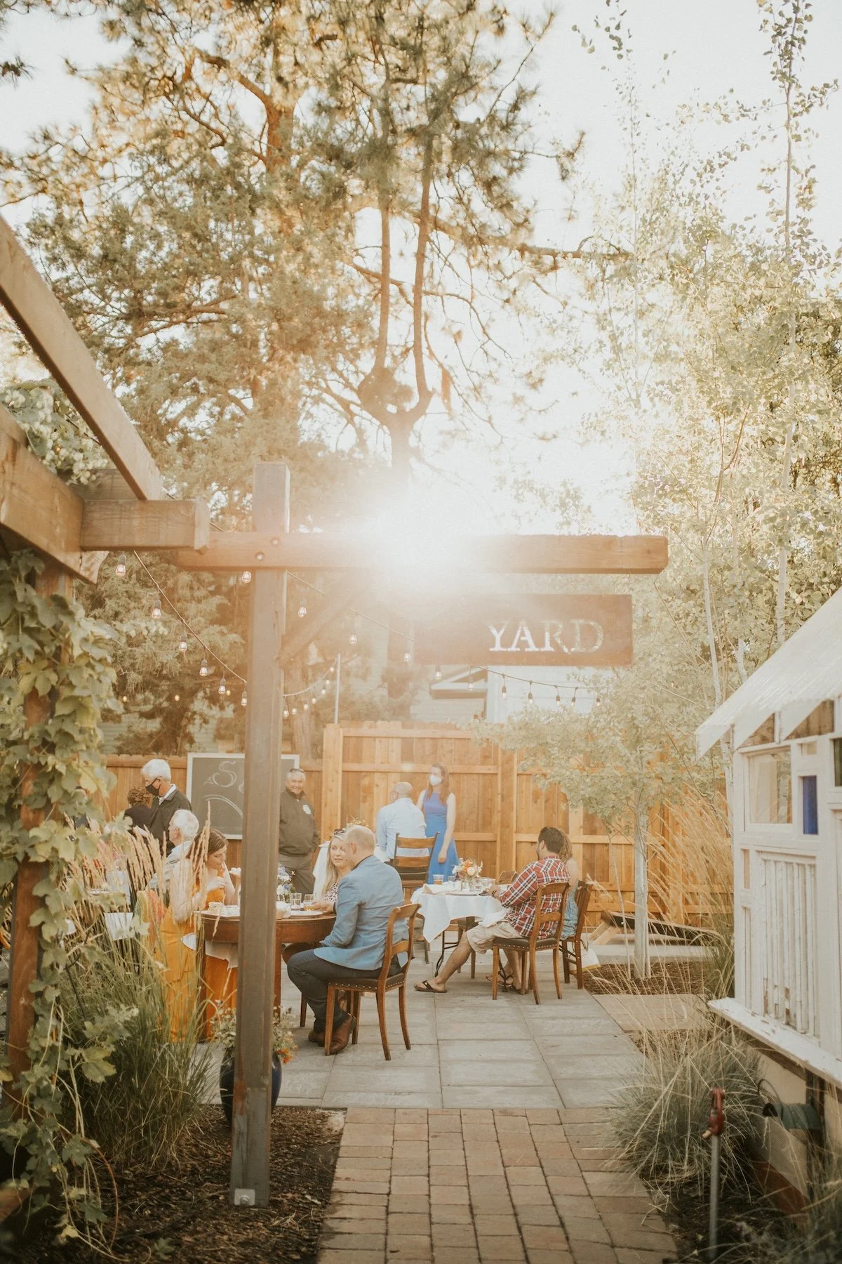 An outdoor courtyard with pine trees in the background and a bright sun flare in the middle
