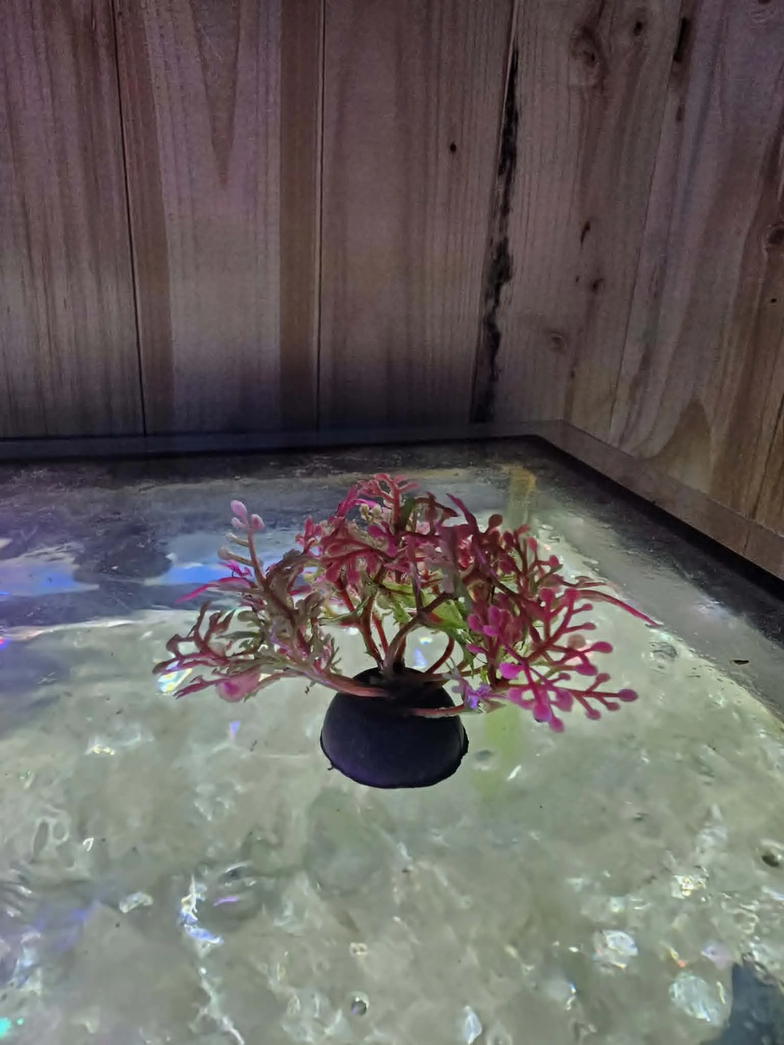 Mini Buisson Décor