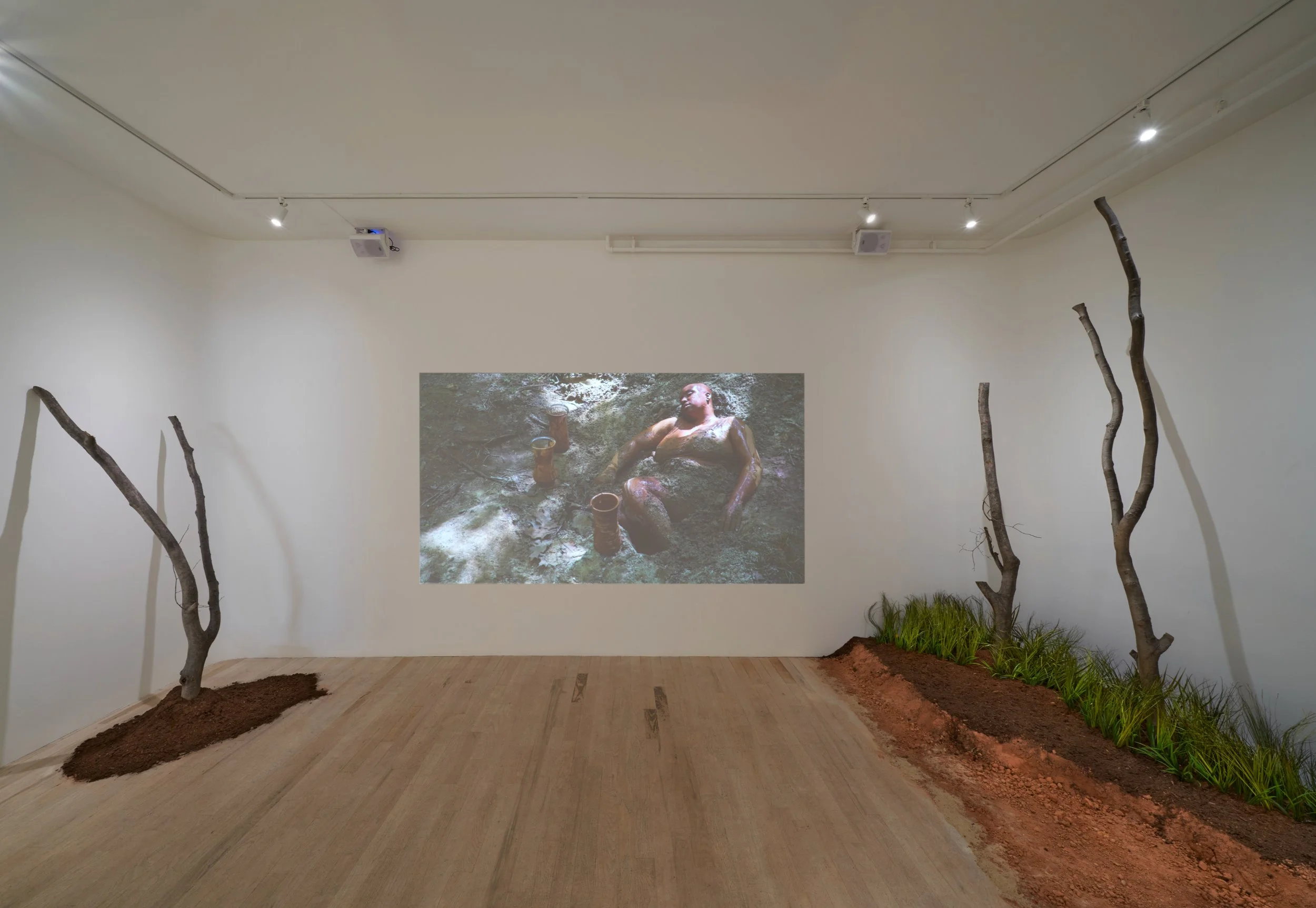 An art installation features a room with a mountain landscape projection on the wall. There are several leafless tree branches positioned vertically around the space, some emerging from mounded soil on the floor. Green plants grow along the soil bord