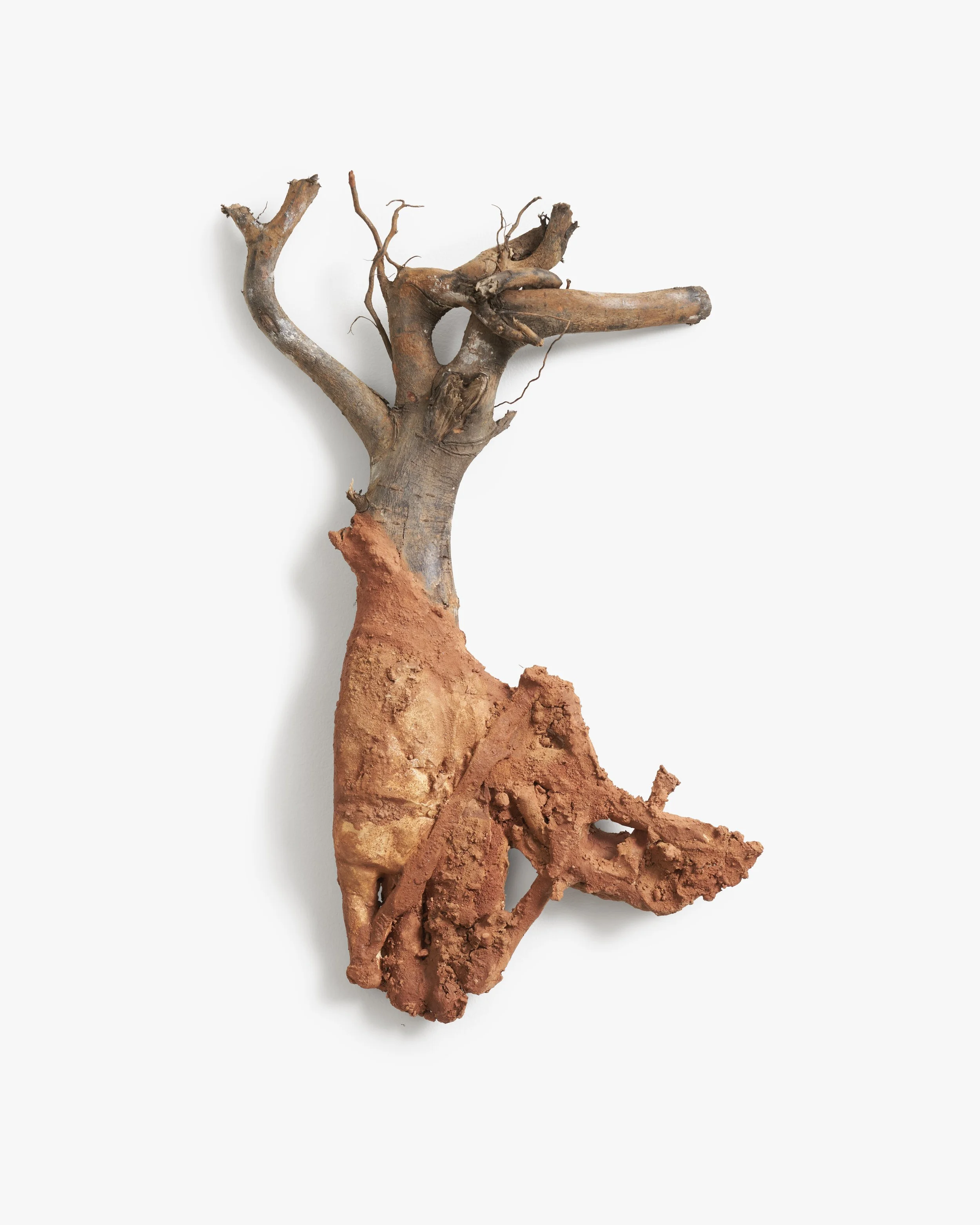 A piece of driftwood attached to a clay clay model of a human leg with toes, against a light background.