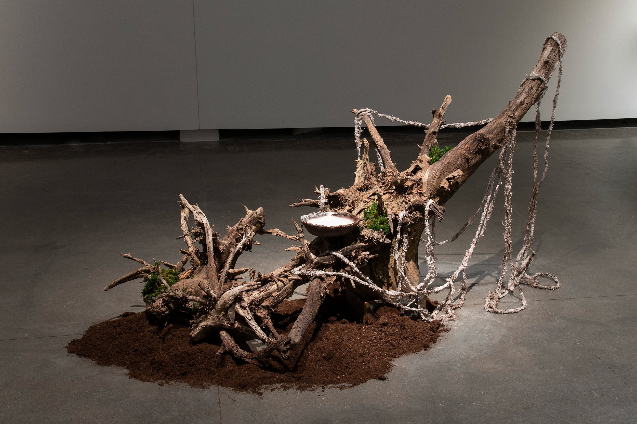 Release
tree root installation, soil, ceramic bowl with slip, hemp rope covered in porcelain, 2023

Release is an installation composed of video projected above an upturned tree root holding a ceramic bowl with water and porcelain-covered hemp rope. 
