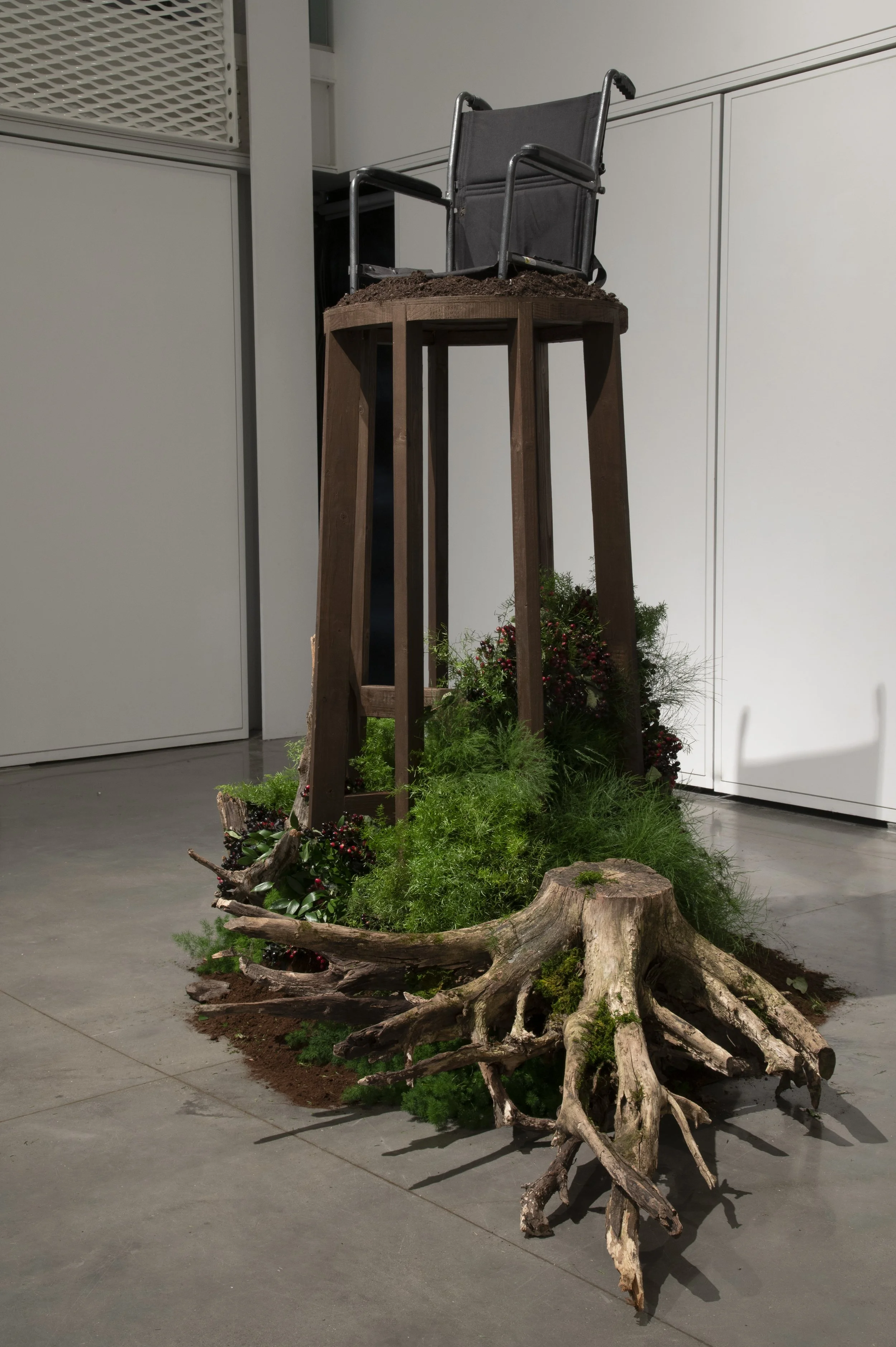 Cycle of Life // We Are Portals To What Is Unseen
Wooden frame, botanicals, deconstructed wheelchair, soil, tree roots
Dimensions variable 

A tall cylindrical wooden frame holds a wheelchair seat. Below it, dirt
and an array of live plants and tree 