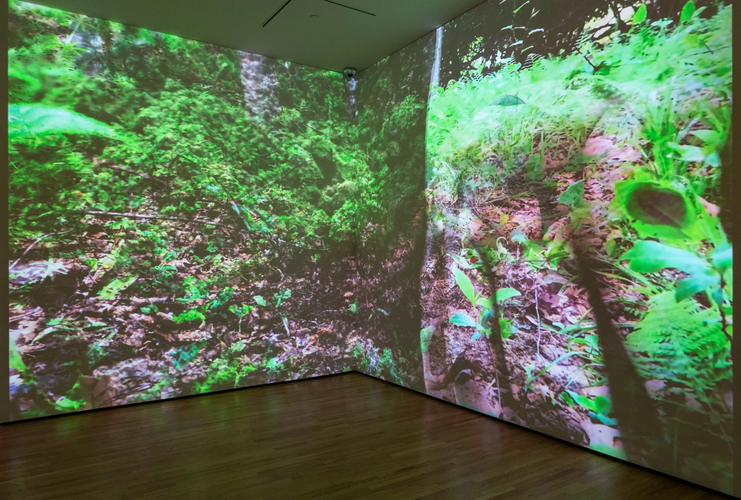 Baltimore Museum of Art,

Turn Again To The Earth

Community Gallery Installation, 

September 2025-March 2026
