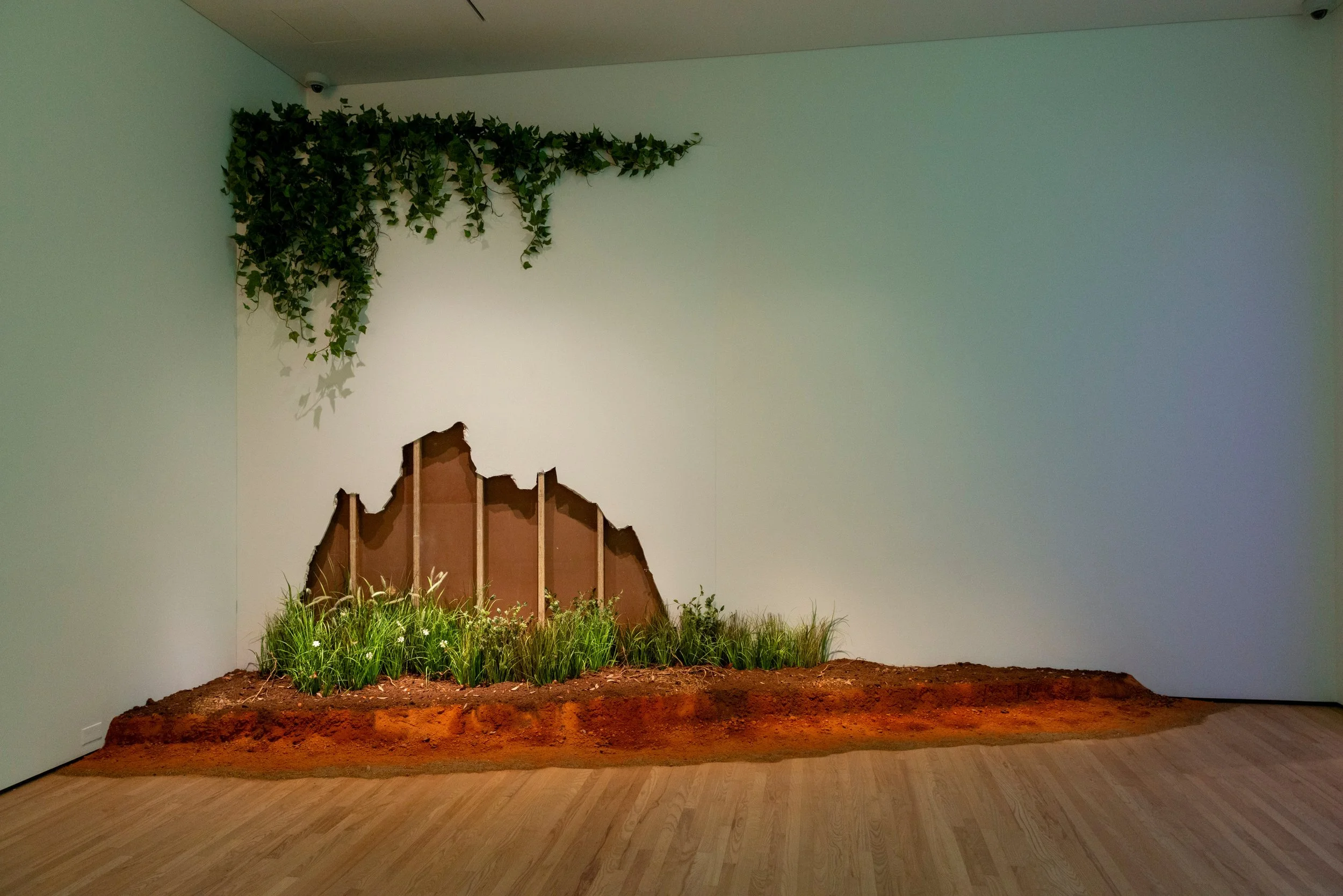 An indoor exhibit of a 3D diorama with a hole in a wall, undergrowth, grass, and a mound of earth, suggesting a natural scene.