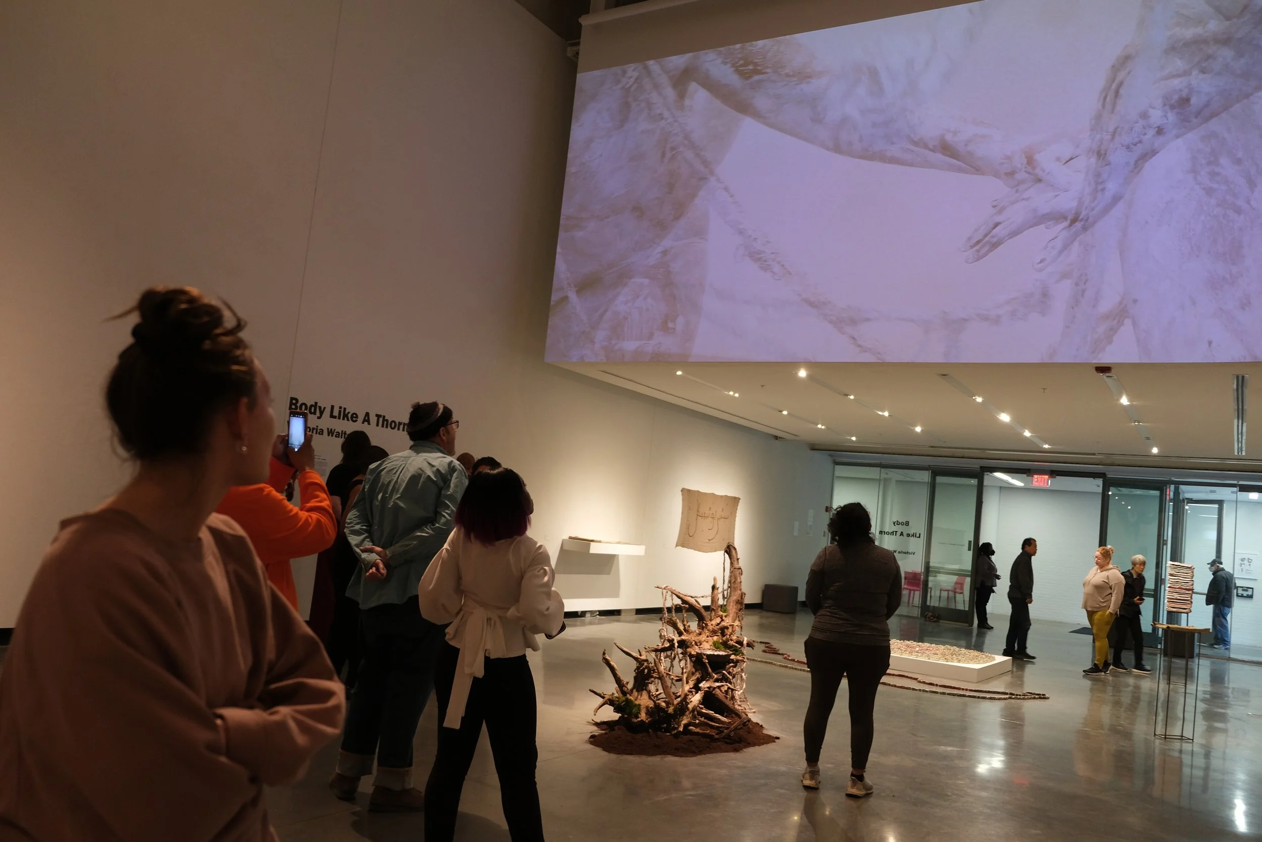 Exhibition image of Release with tree root installation