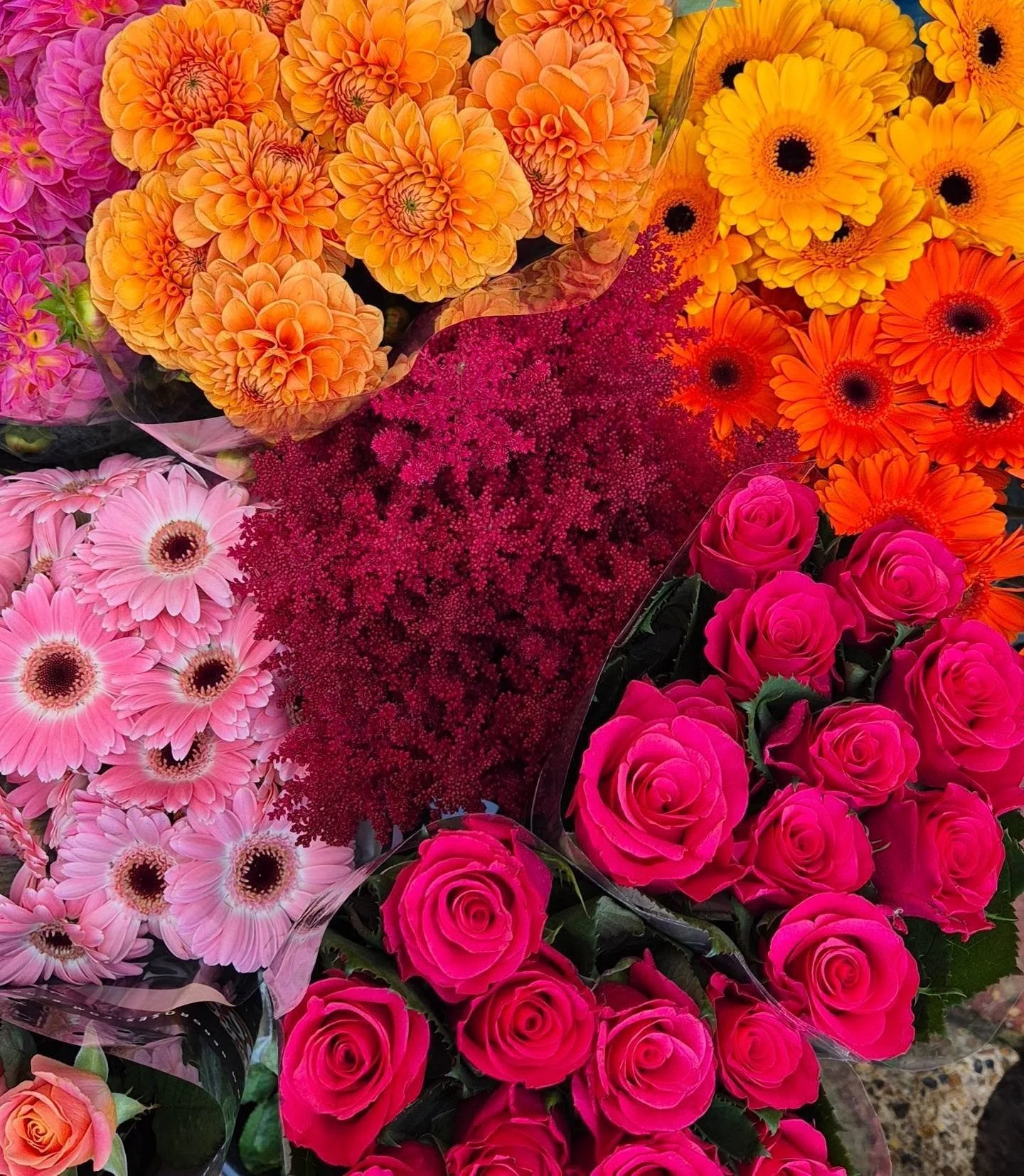 This is my happy place - surrounded by flowers - boot filled with flowers, backseat filled with flowers, flowers burned into the back of my eyelids from looking at nothing but flowers for the last two days!

Still an hour and a half to go of this wee
